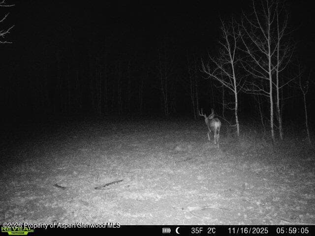 Tbd County Road 11, Craig, CO 81625 - Photo 23