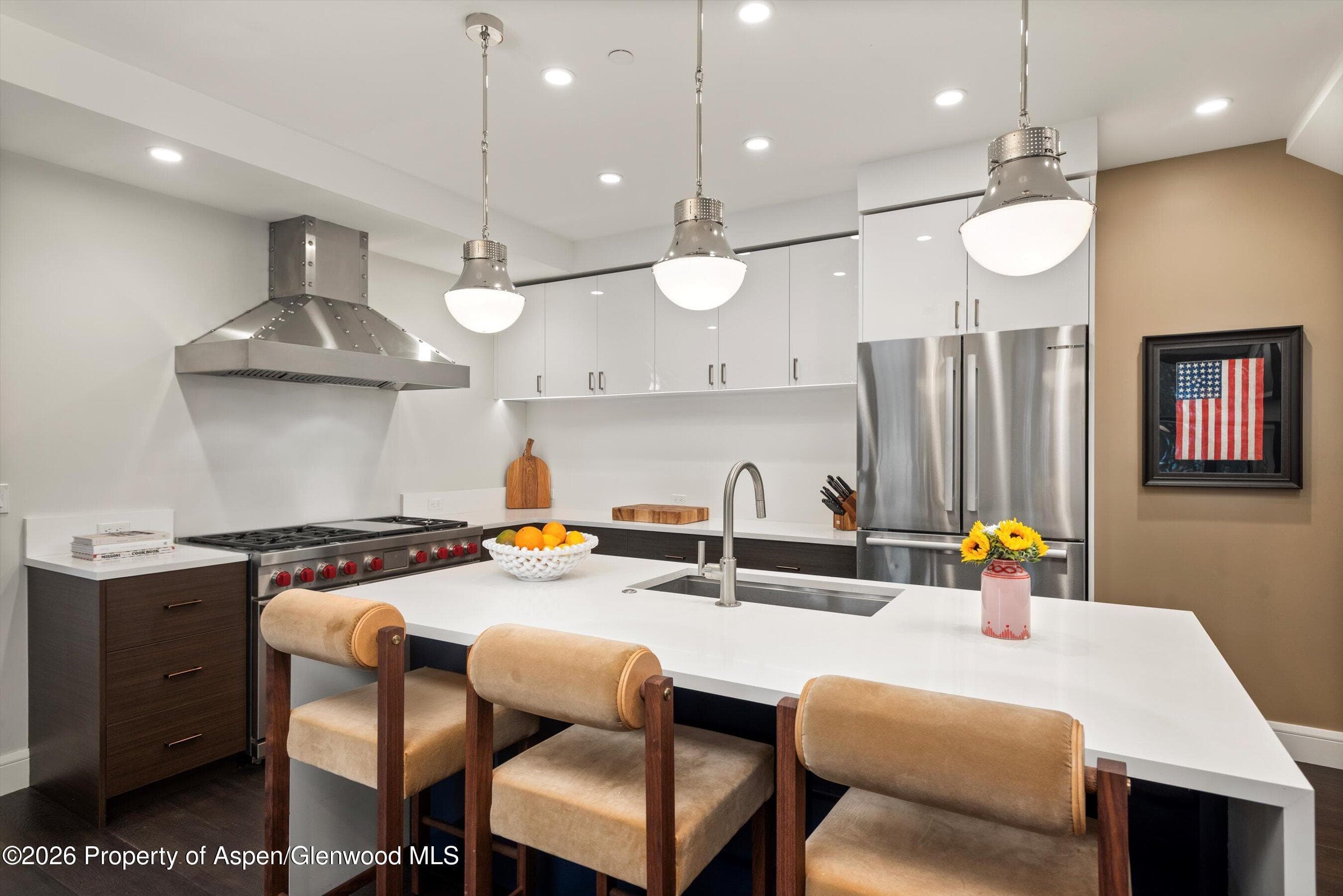 105 E Bleeker Street, Aspen, CO 81611 - Photo 9