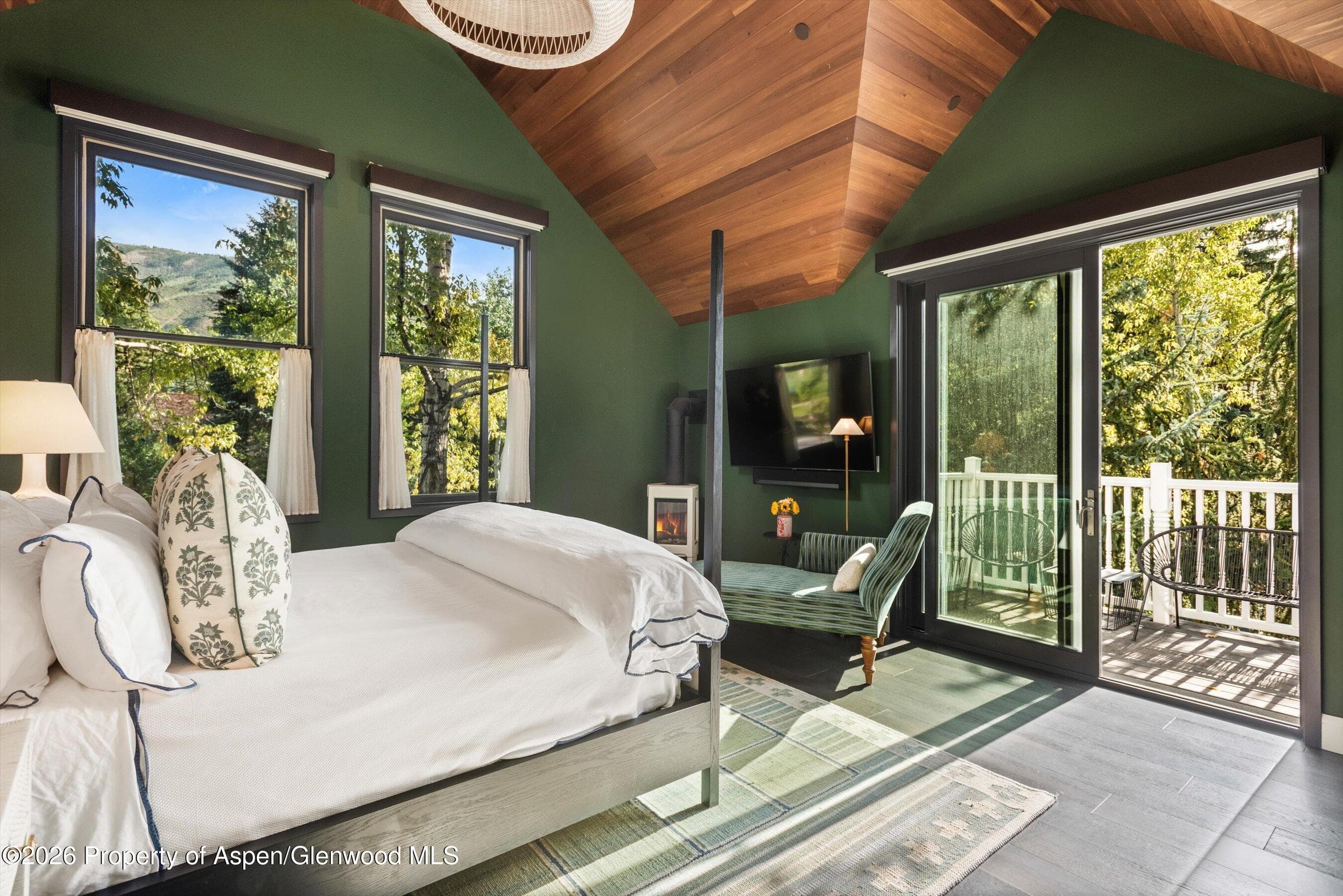 105 E Bleeker Street, Aspen, CO 81611 - Photo 13