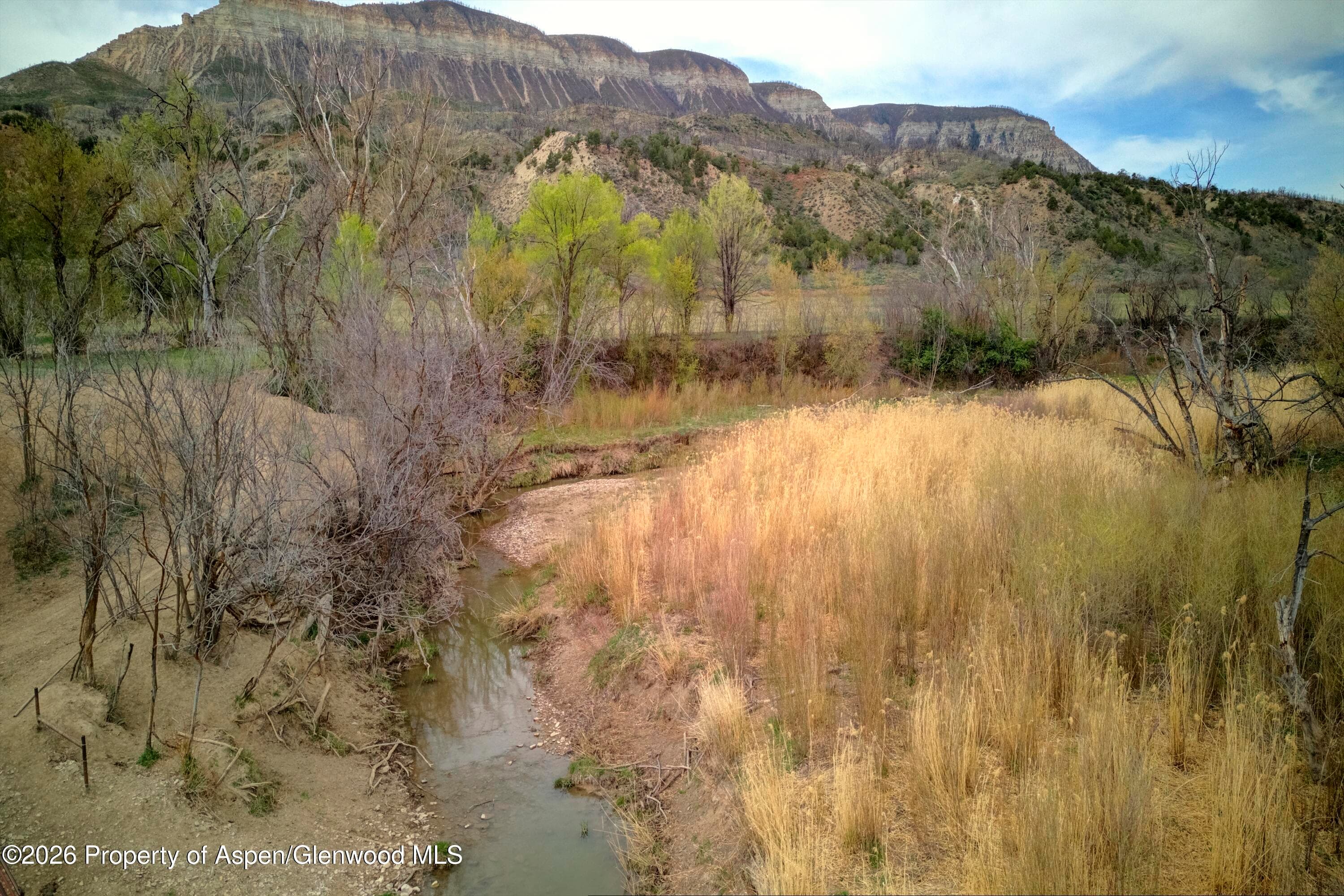 10124 County Road 204, De Beque, CO 81630 - Photo 9