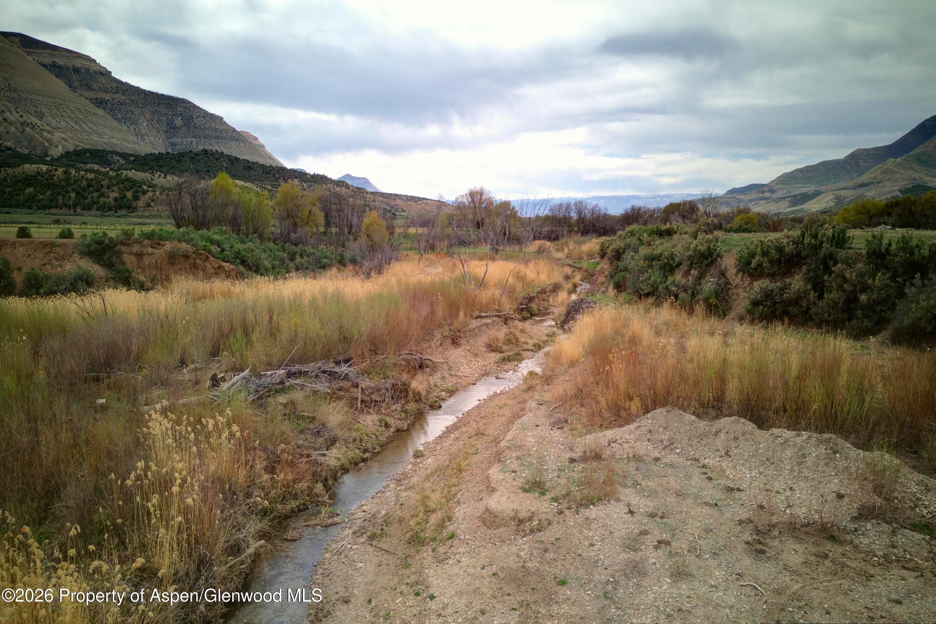 10124 County Road 204, De Beque, CO 81630 - Photo 8