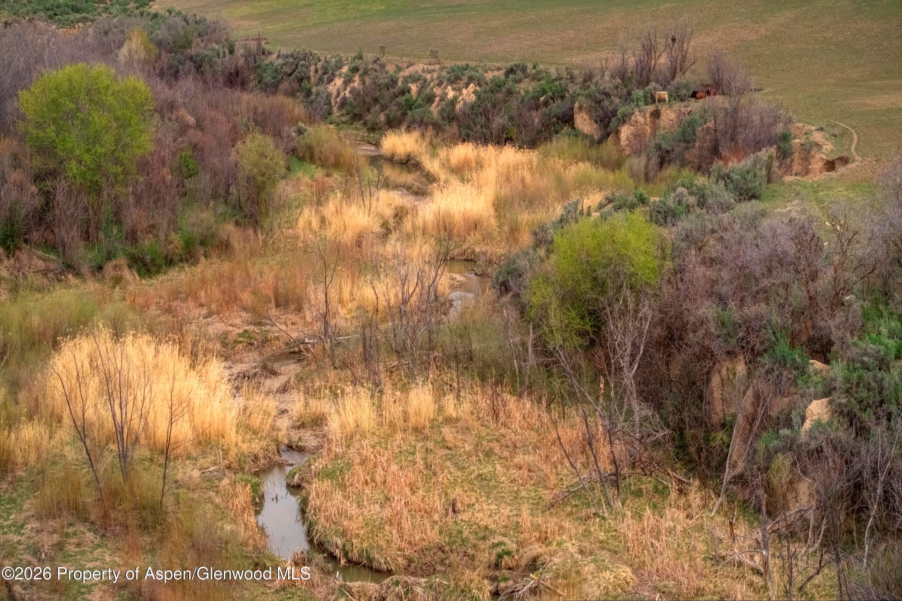 10124 County Road 204, De Beque, CO 81630 - Photo 10