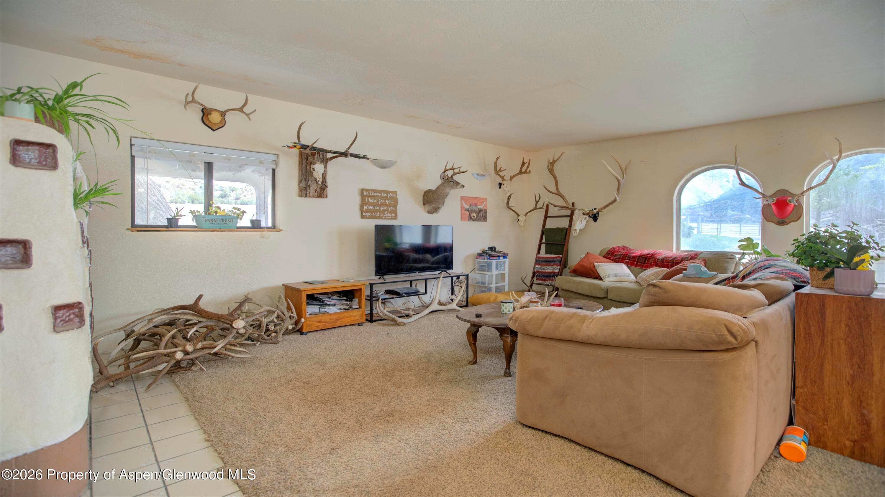 10124 County Road 204, De Beque, CO 81630 - Photo 19
