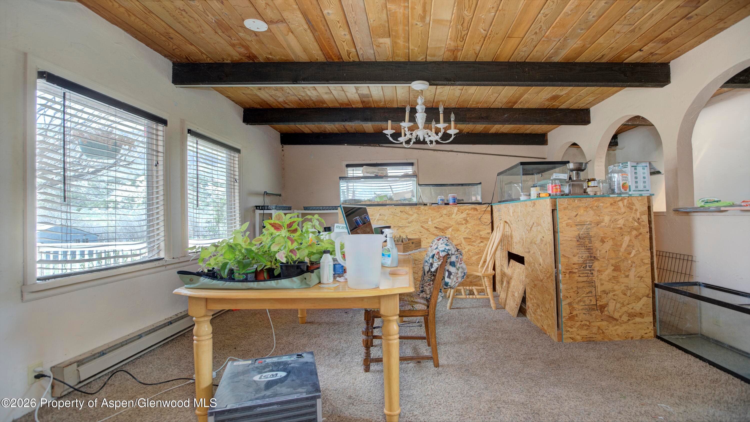 10124 County Road 204, De Beque, CO 81630 - Photo 23