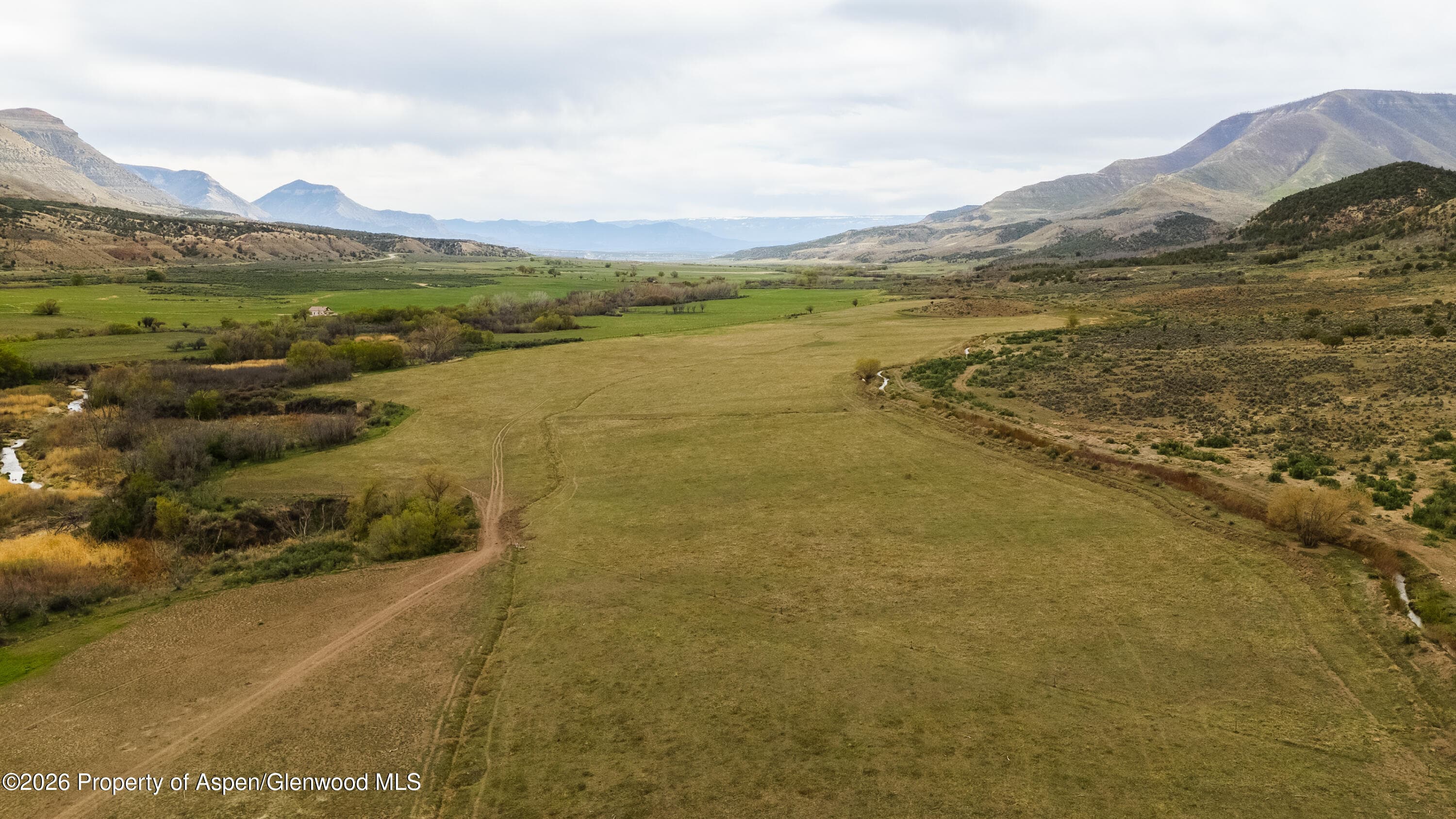 10124 County Road 204, De Beque, CO 81630 - Photo 3
