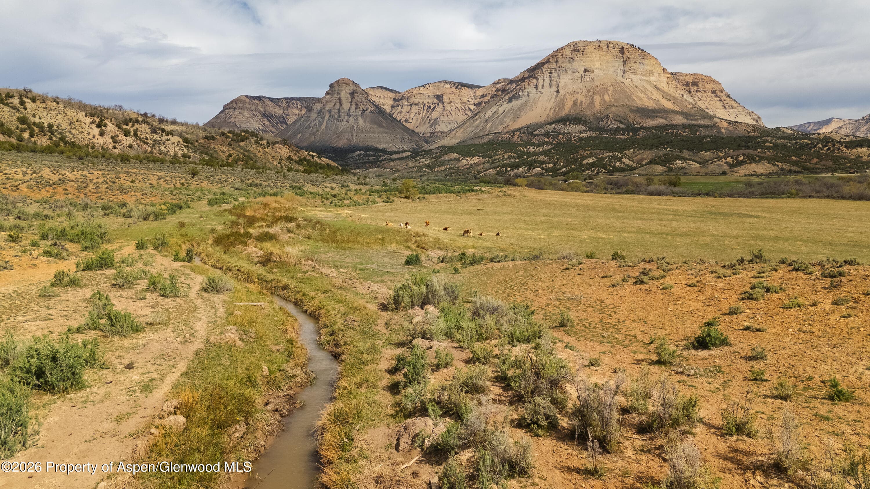 10124 County Road 204, De Beque, CO 81630 - Photo 6