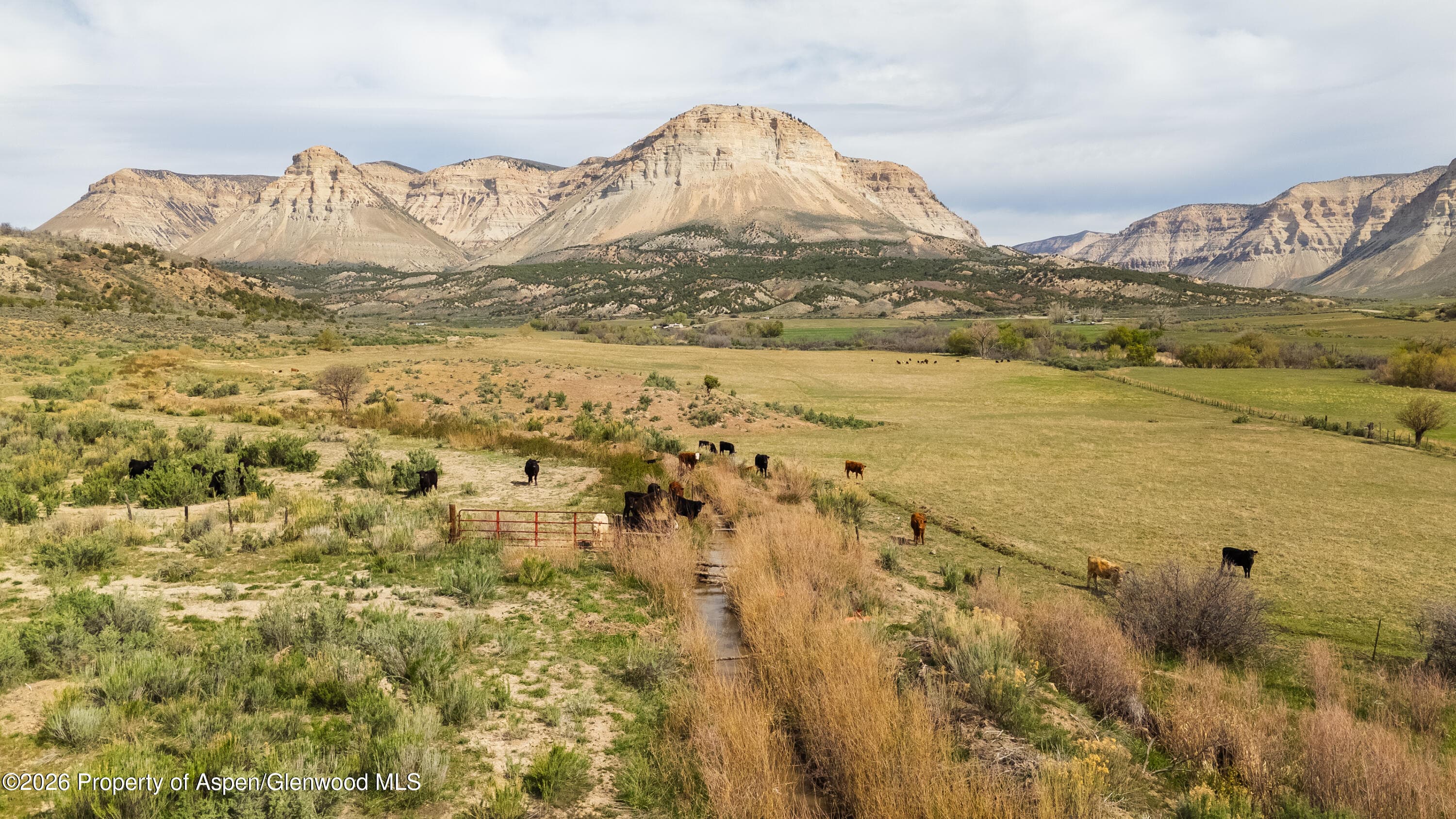 10124 County Road 204, De Beque, CO 81630 - Photo 5