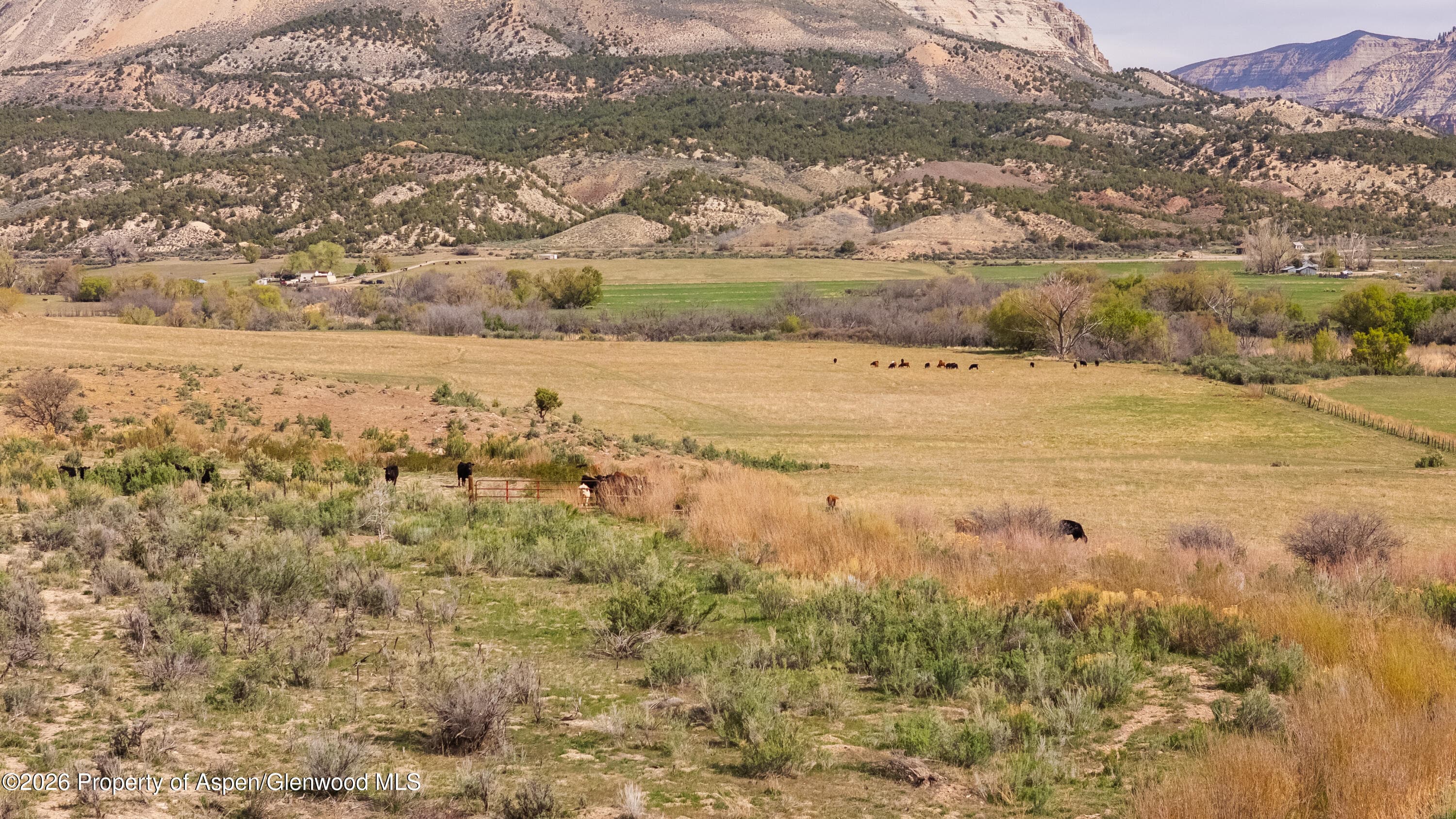 10124 County Road 204, De Beque, CO 81630 - Photo 13