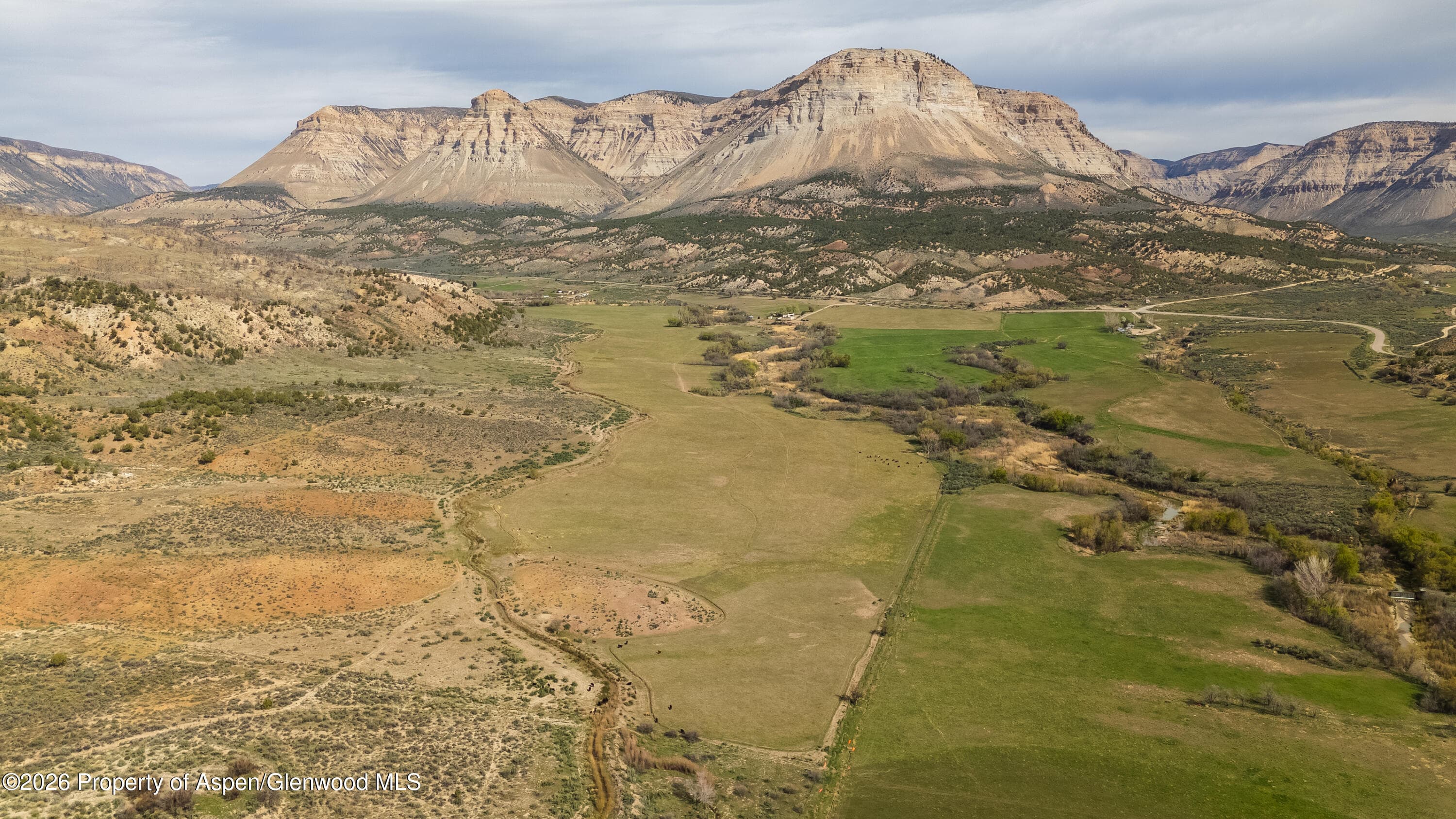 10124 County Road 204, De Beque, CO 81630 - Photo 2