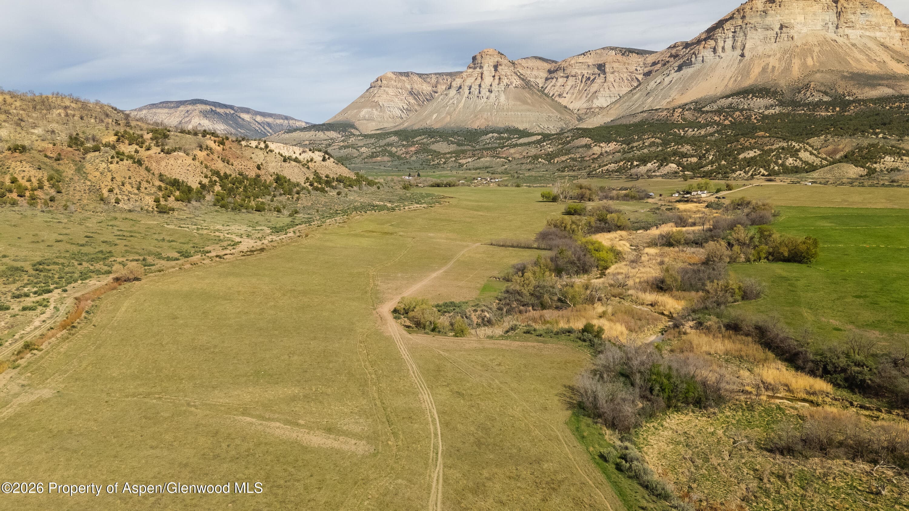 10124 County Road 204, De Beque, CO 81630 - Photo 15