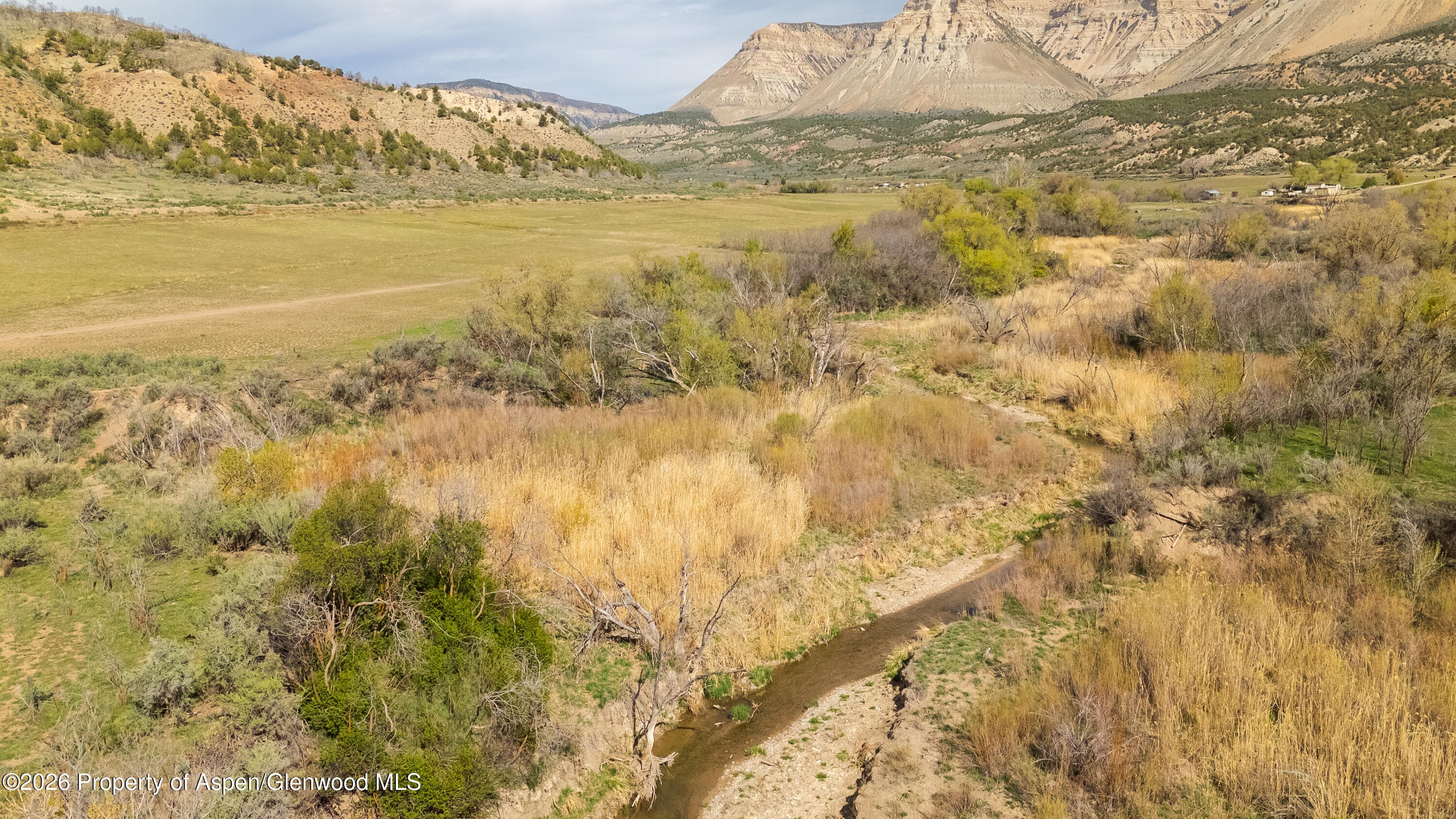 10124 County Road 204, De Beque, CO 81630 - Photo 12