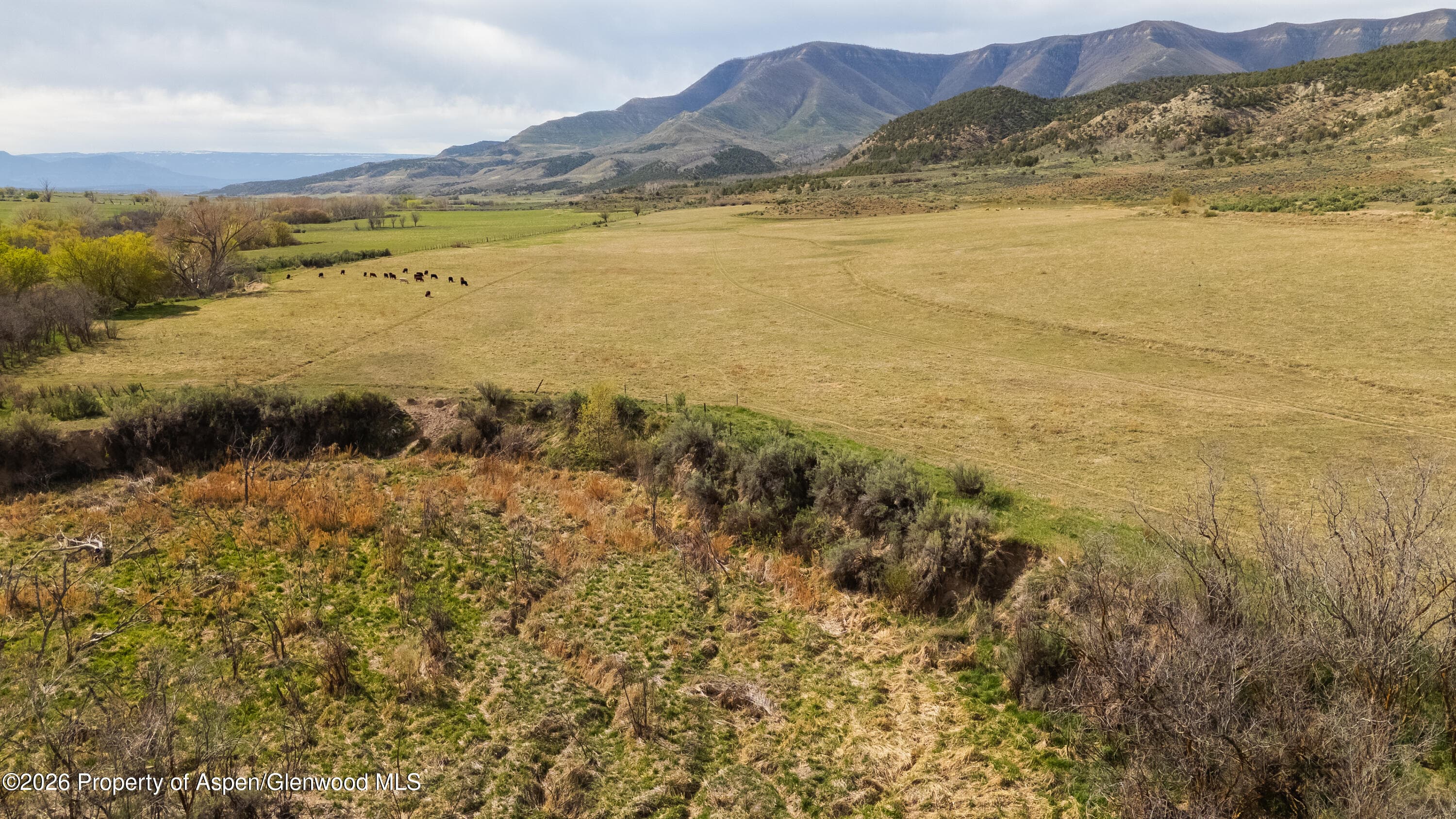 10124 County Road 204, De Beque, CO 81630 - Photo 4