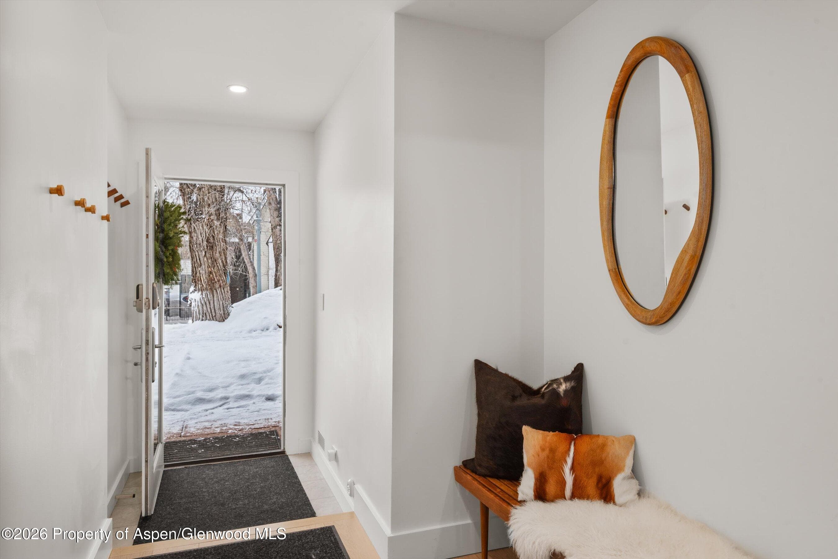 1001 E Cooper Avenue 1, Aspen, CO 81611 - Photo 18