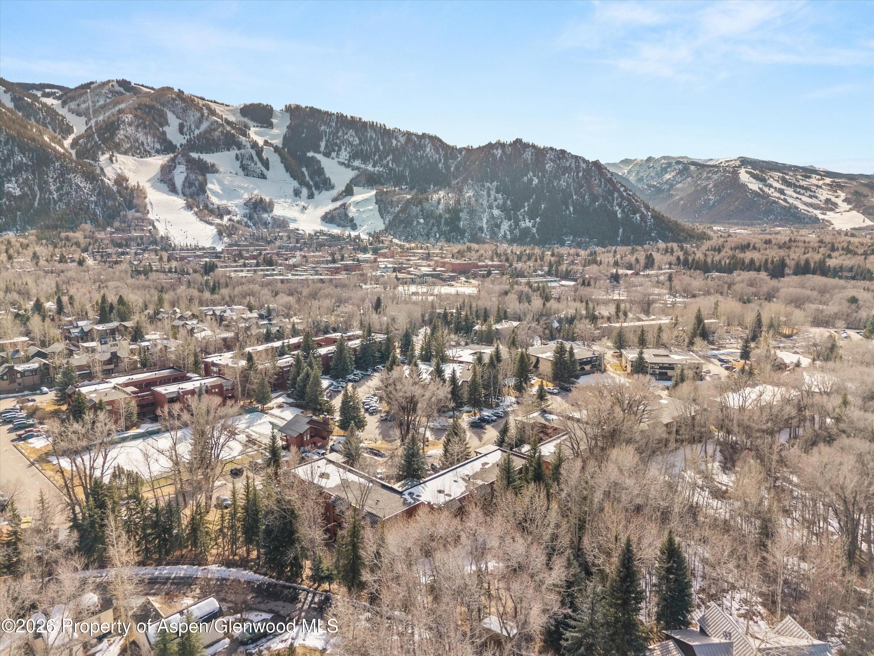 1325 Vine Street, Aspen, CO 81611 - Photo 14