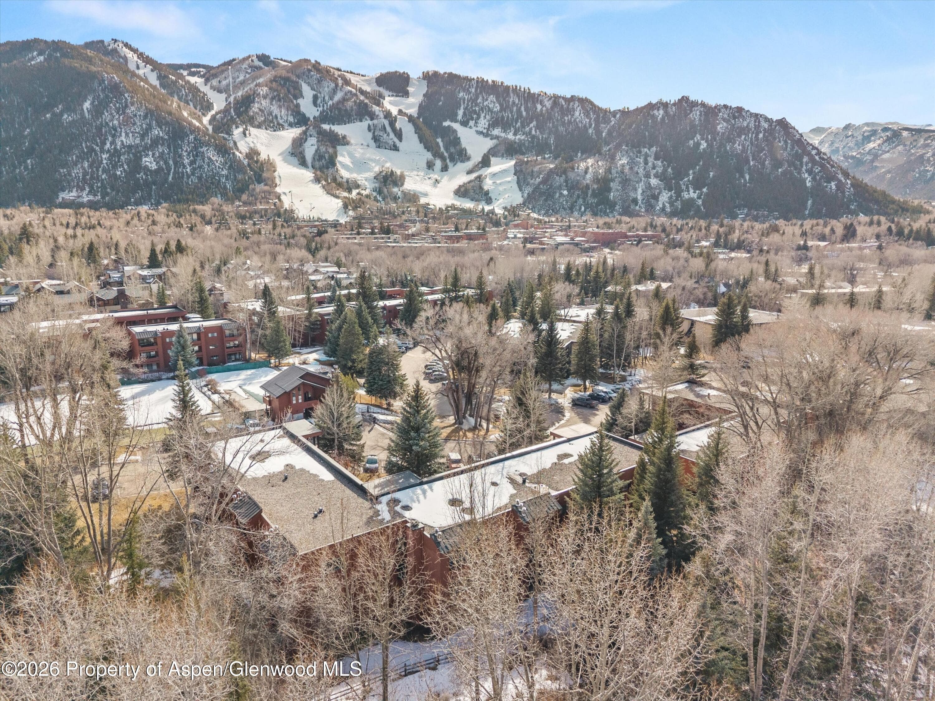 1325 Vine Street, Aspen, CO 81611 - Photo 15