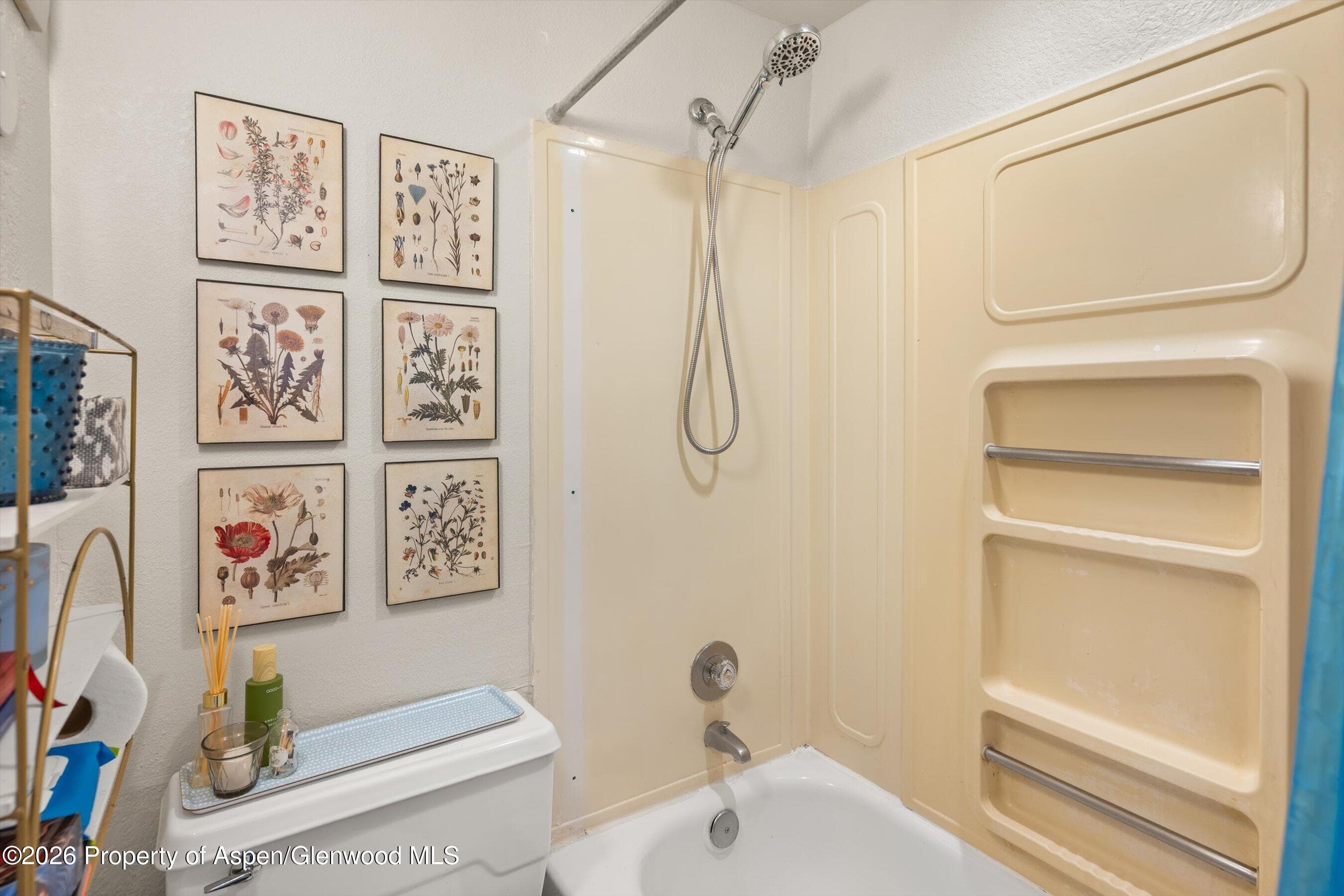 1325 Vine Street, Aspen, CO 81611 - Photo 10