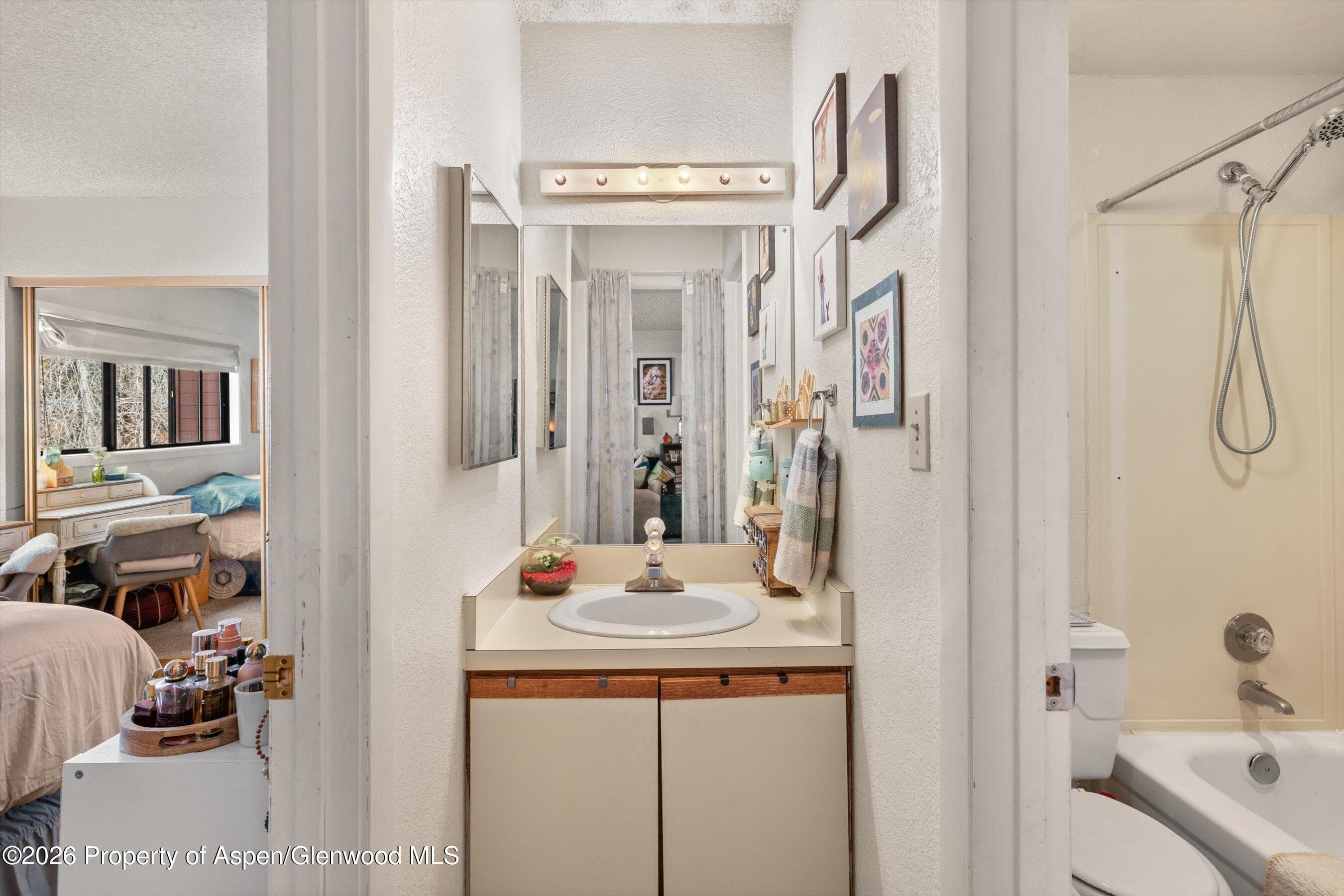 1325 Vine Street, Aspen, CO 81611 - Photo 9