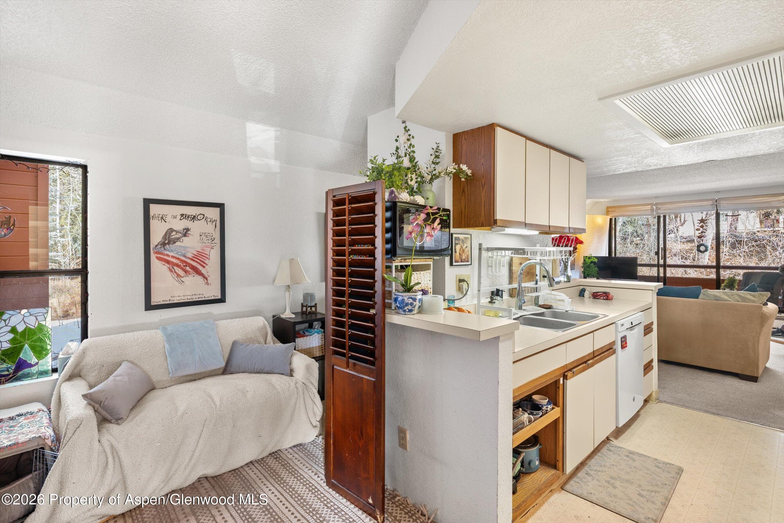 1325 Vine Street, Aspen, CO 81611 - Photo 5