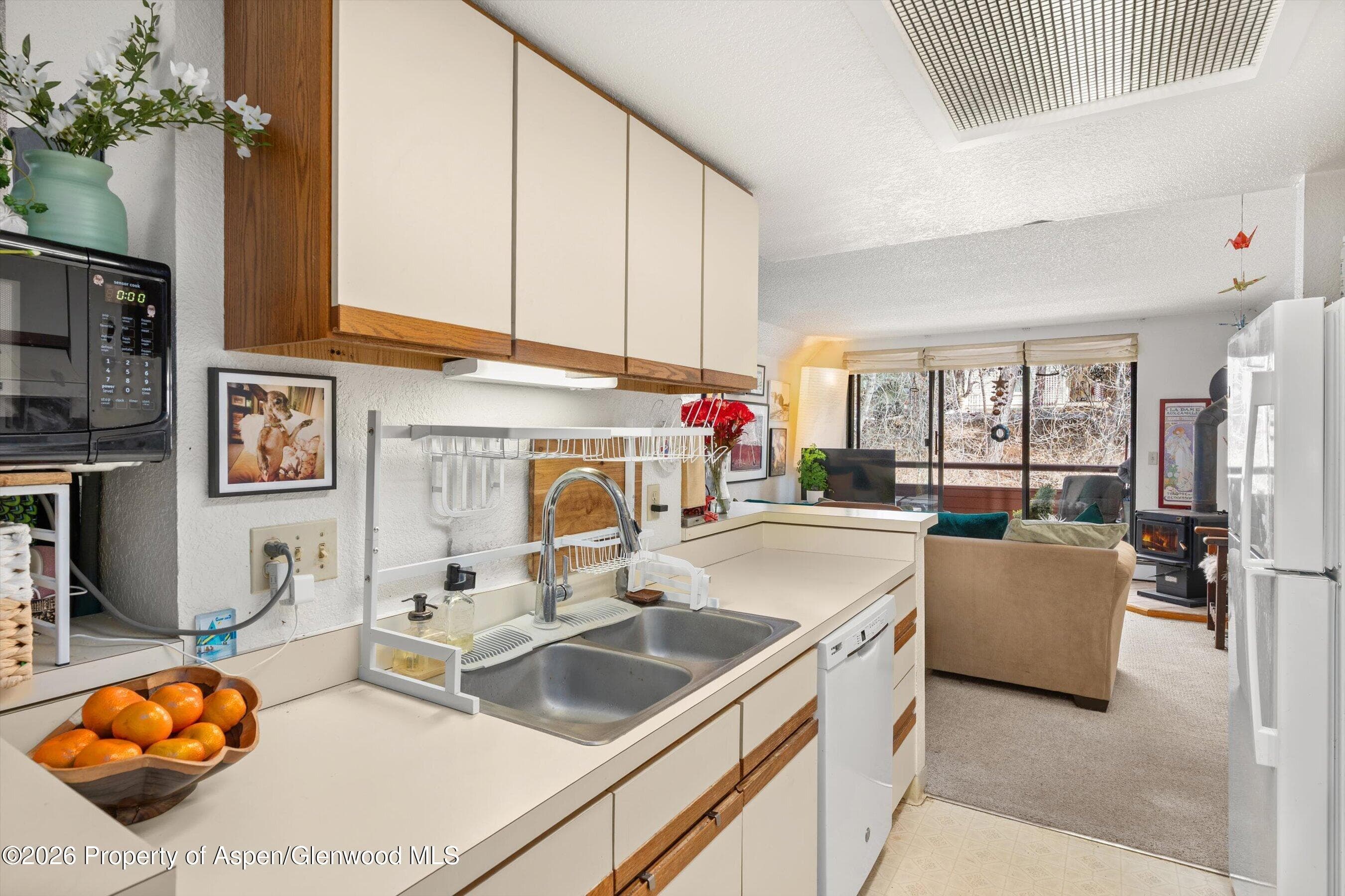 1325 Vine Street, Aspen, CO 81611 - Photo 7