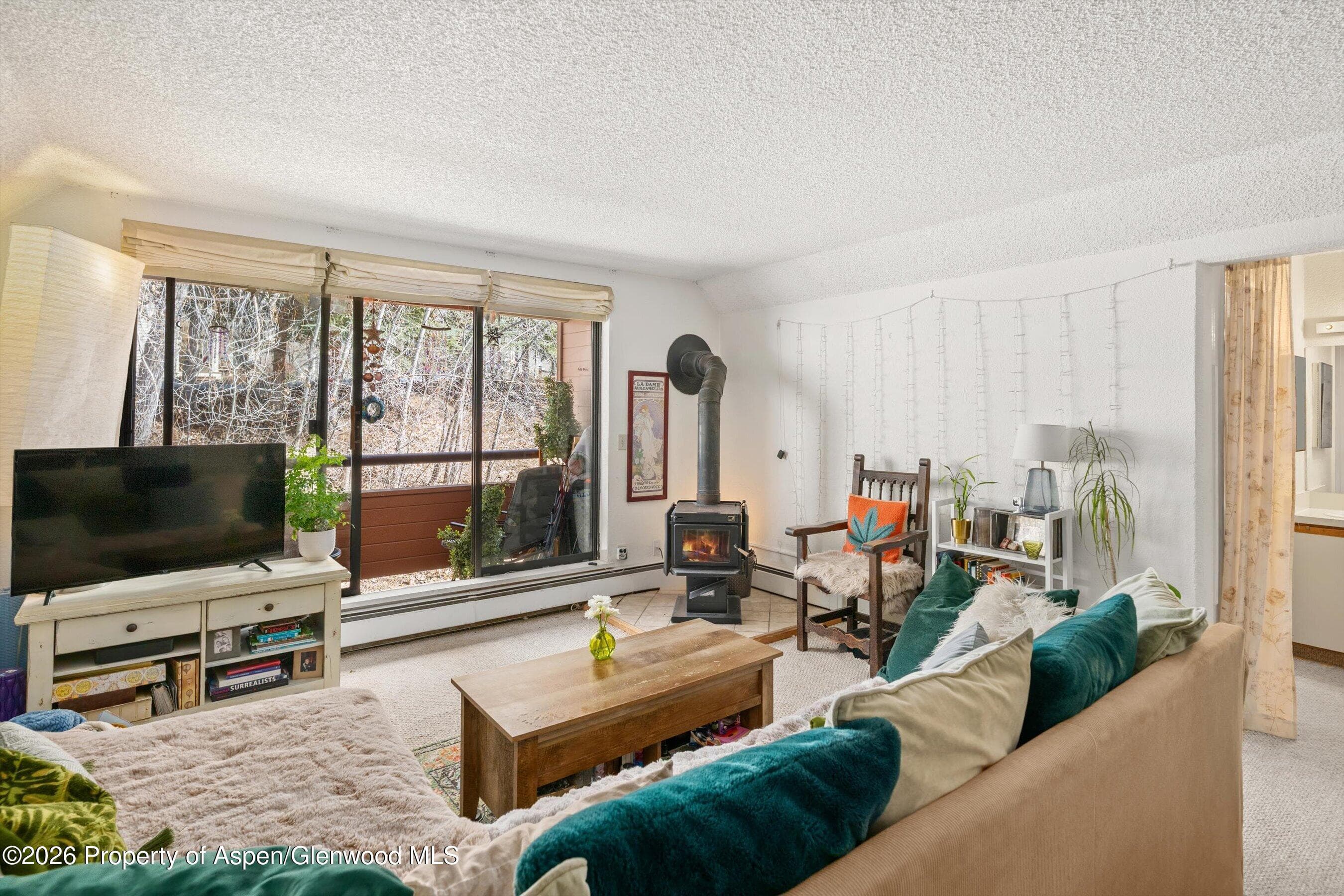 1325 Vine Street, Aspen, CO 81611 - Photo 2