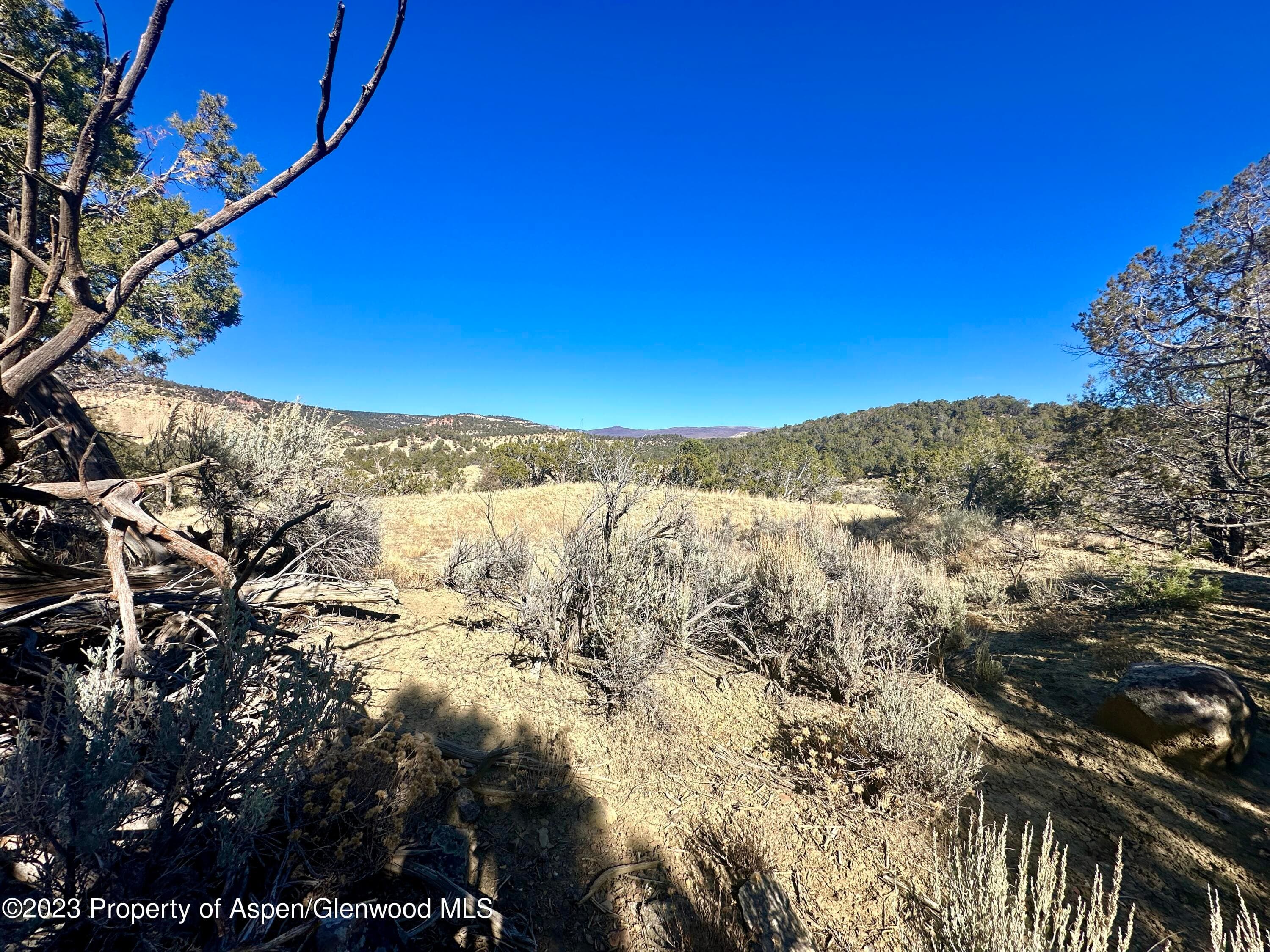 Tbd Cactus Park Road, Cedaredge, CO 81413 - Photo 1
