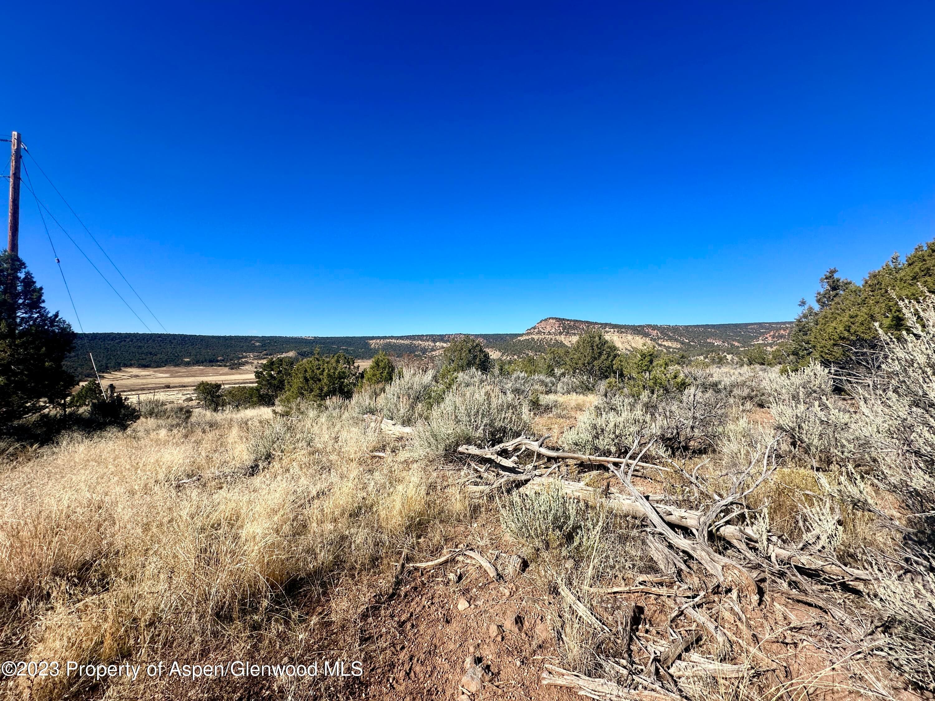 Tbd Cactus Park Road, Cedaredge, CO 81413 - Photo 10