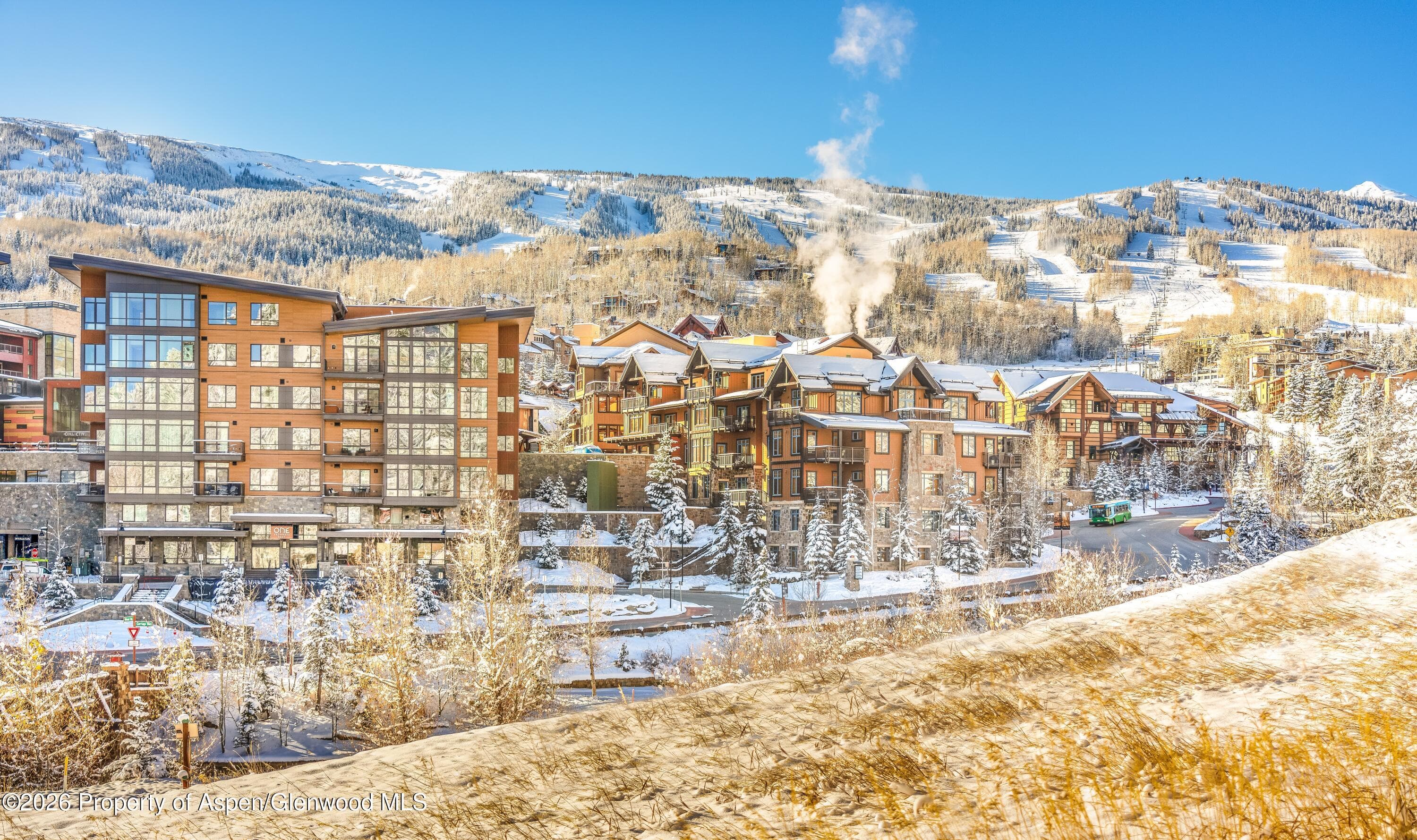 77 Wood Road 407-01, Snowmass Village, CO 81615 - Photo 19