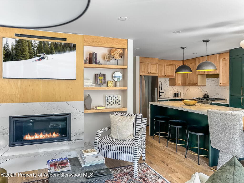 803 E Durant Avenue 8, Aspen, CO 81611 - Photo 2