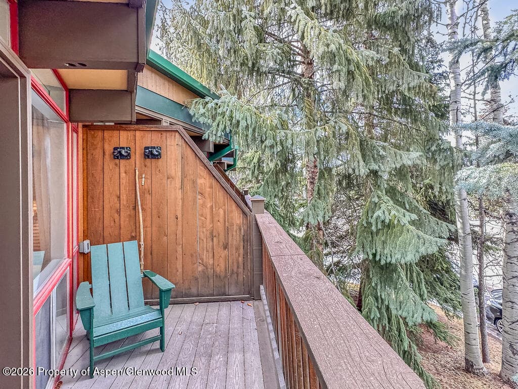 803 E Durant Avenue 8, Aspen, CO 81611 - Photo 24