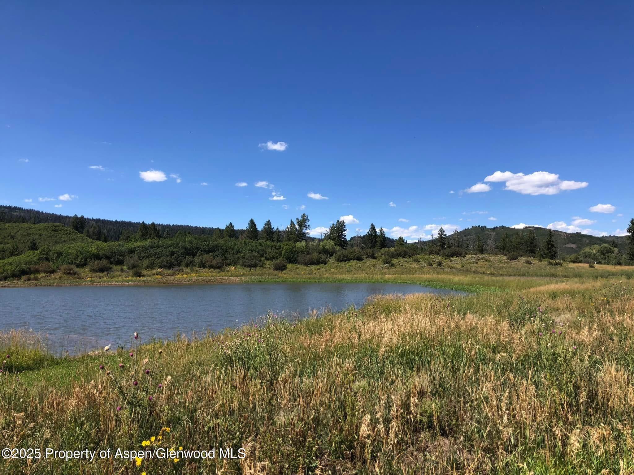 Tbd County Road 117, Glenwood Springs, CO 81601 - Photo 6