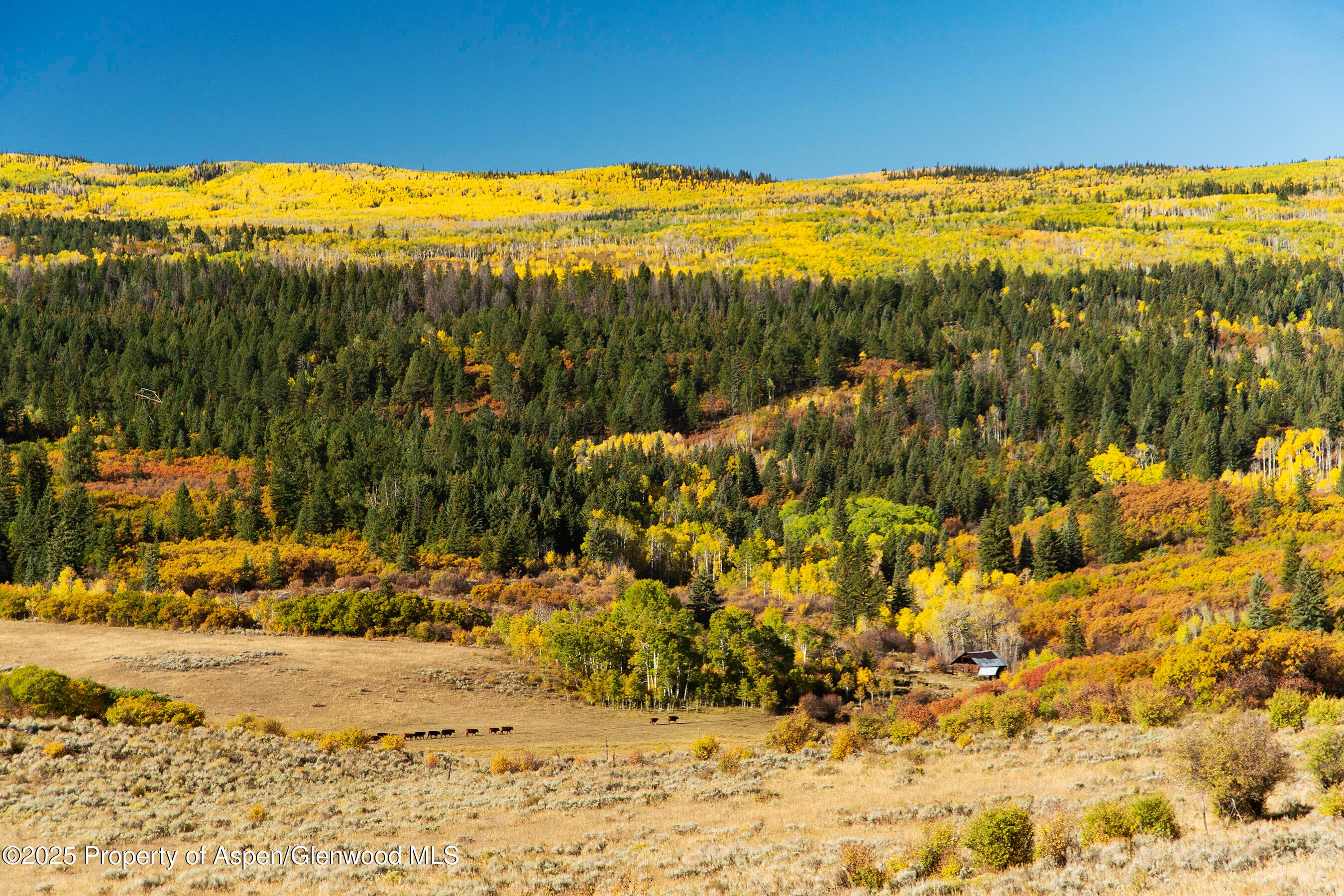 Tbd County Road 117, Glenwood Springs, CO 81601 - Photo 31