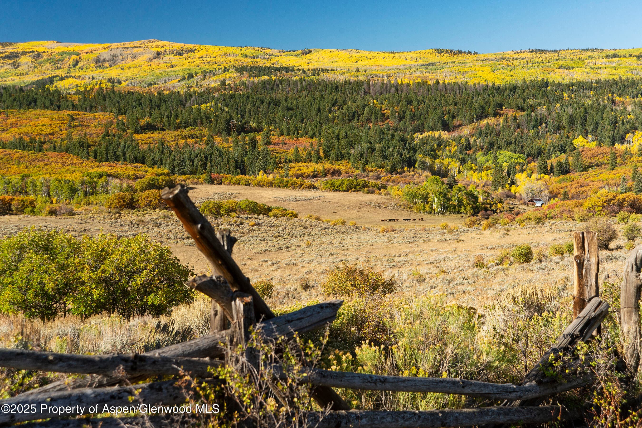 Tbd County Road 117, Glenwood Springs, CO 81601 - Photo 32