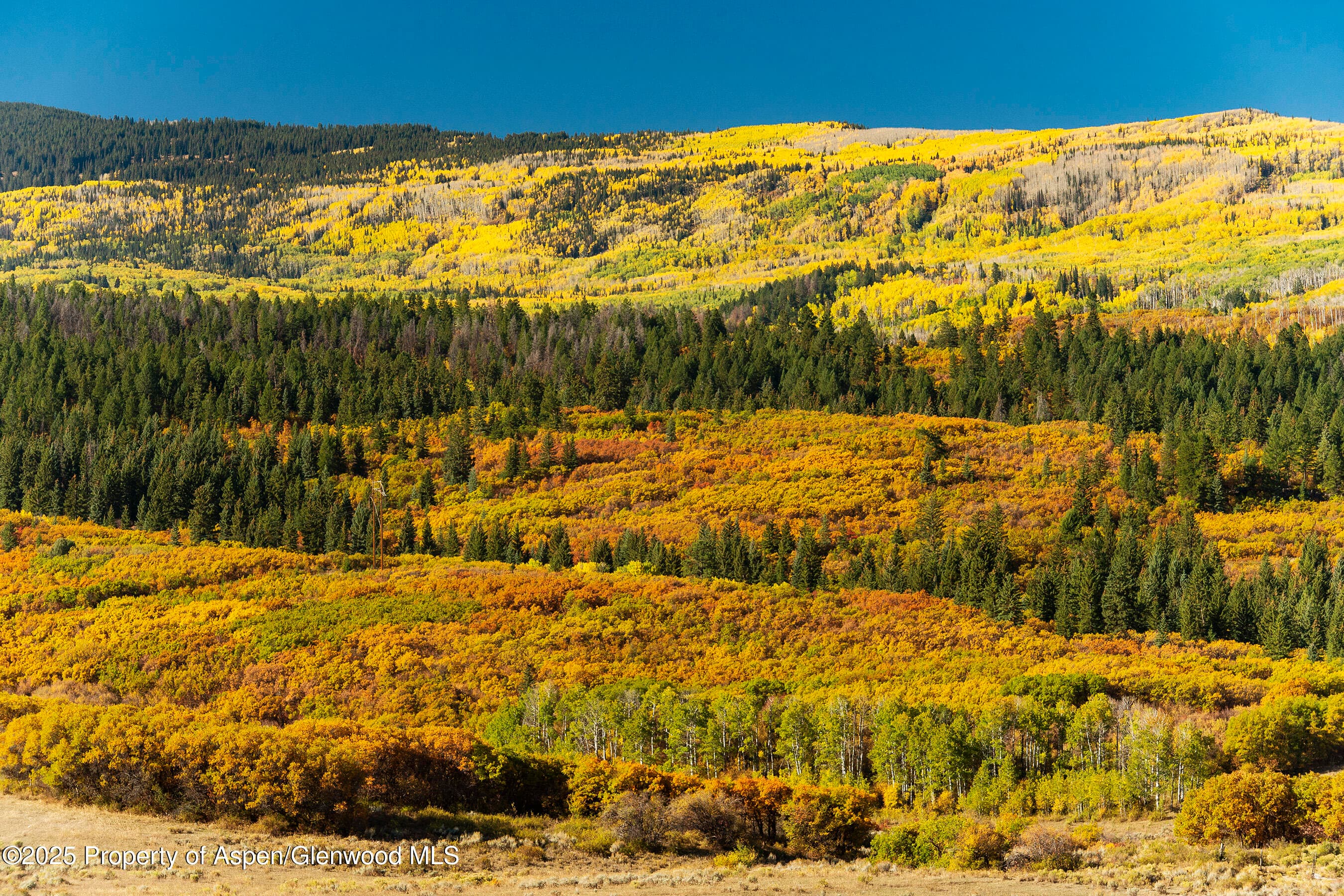 Tbd County Road 117, Glenwood Springs, CO 81601 - Photo 36