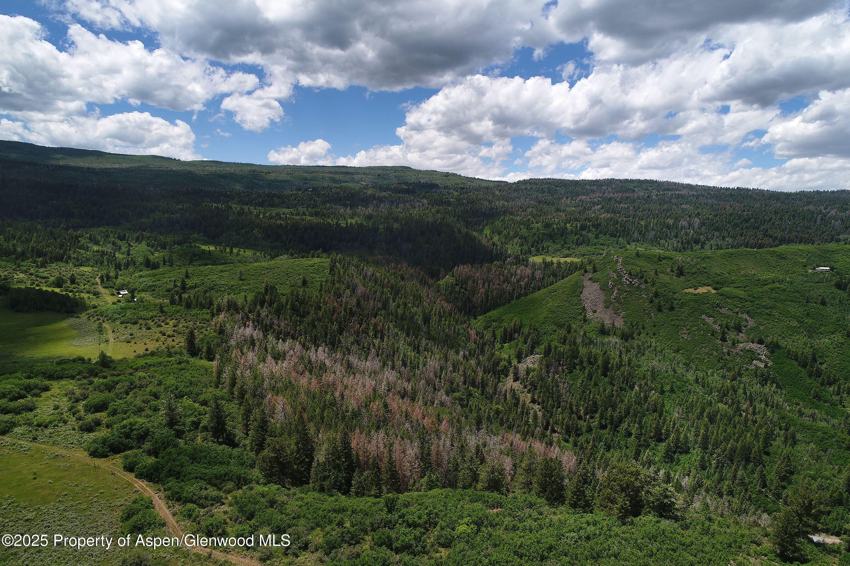Tbd County Road 117, Glenwood Springs, CO 81601 - Photo 38