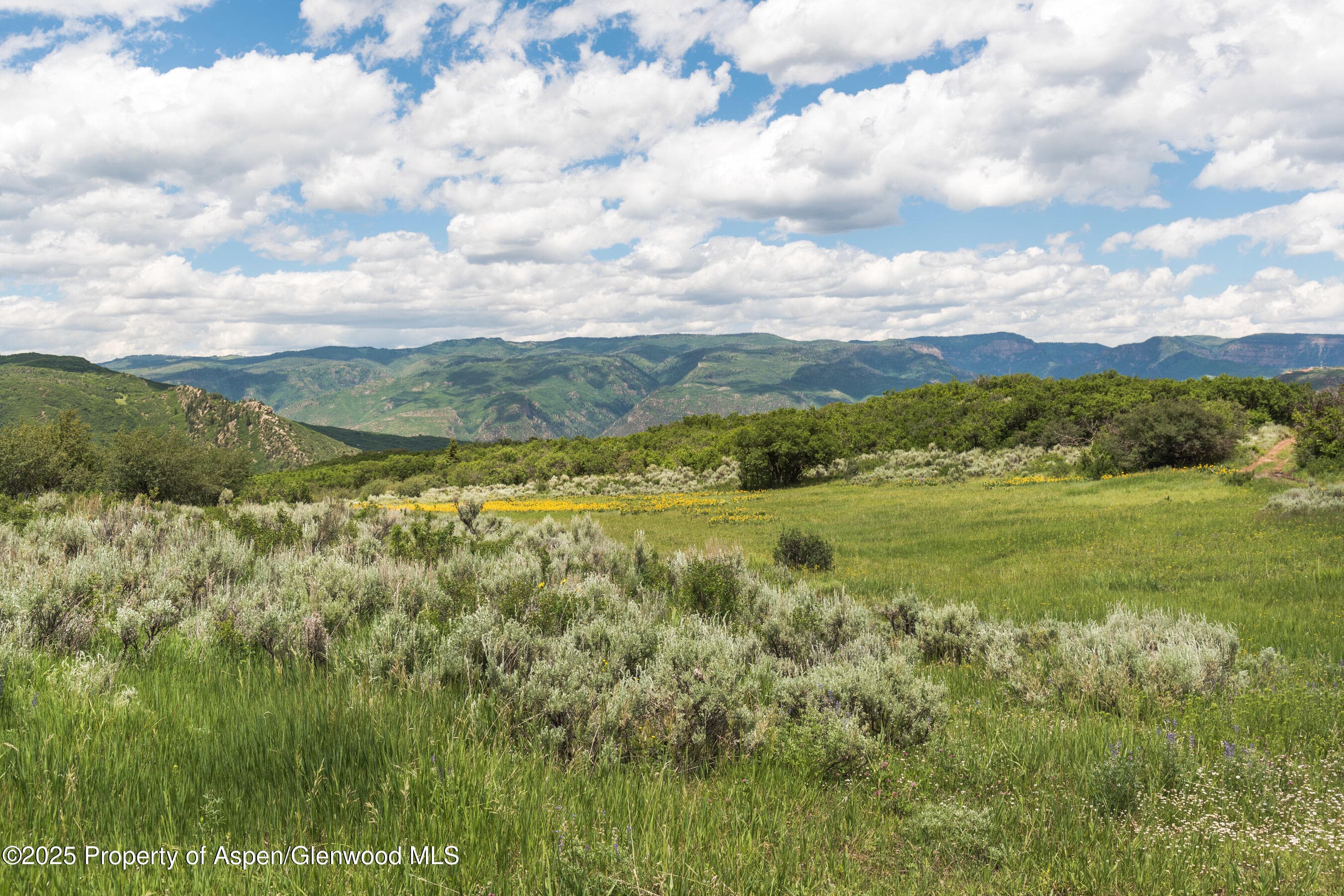 Tbd County Road 117, Glenwood Springs, CO 81601 - Photo 44