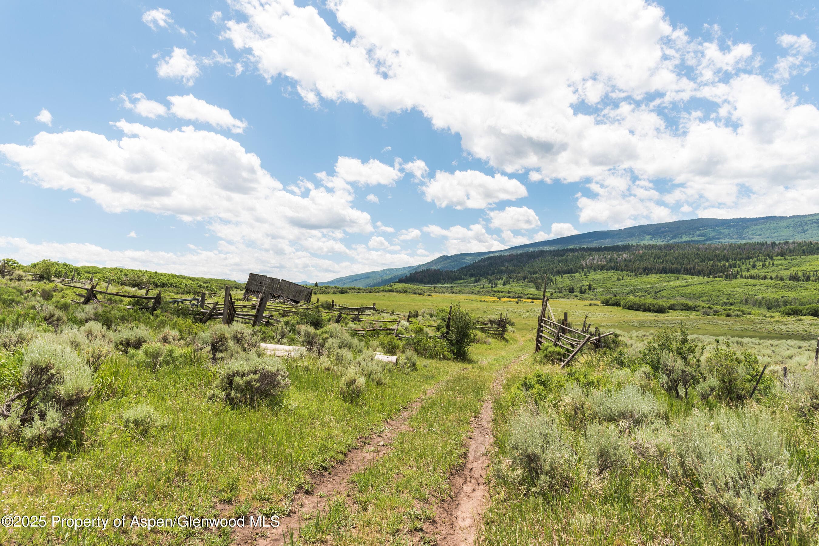 Tbd County Road 117, Glenwood Springs, CO 81601 - Photo 50