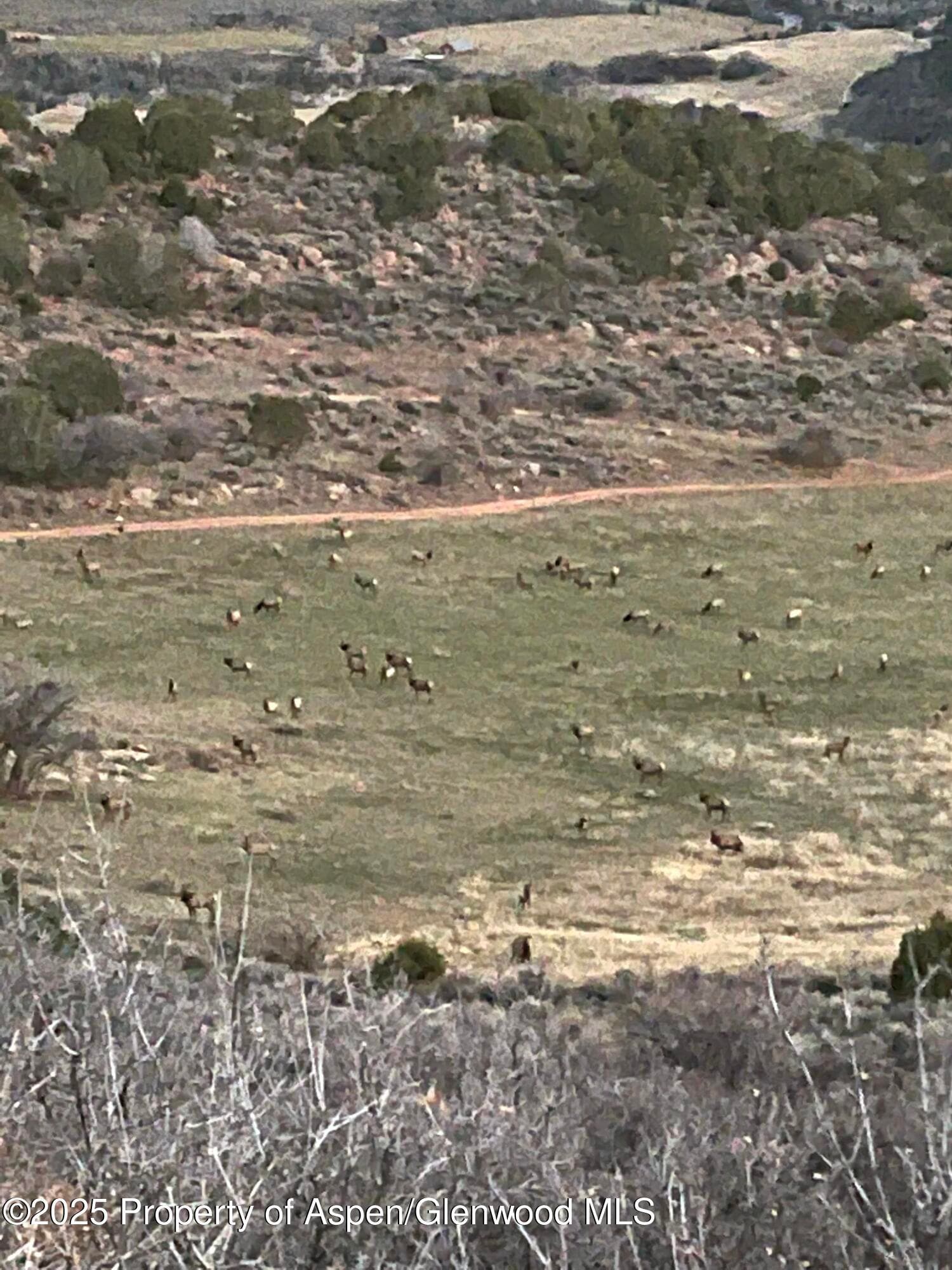 Tbd County Road 117, Glenwood Springs, CO 81601 - Photo 69