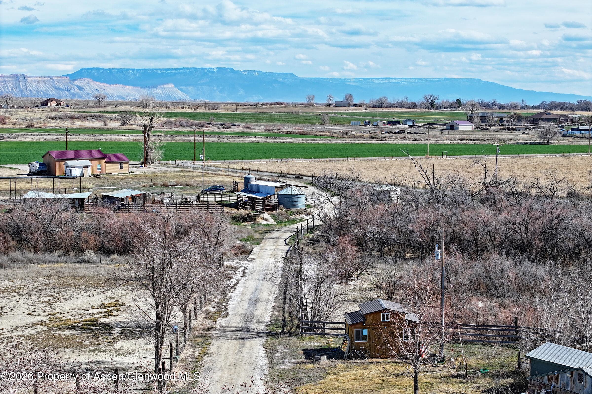 1537 19 Road, Fruita, CO 81521 - Photo 25