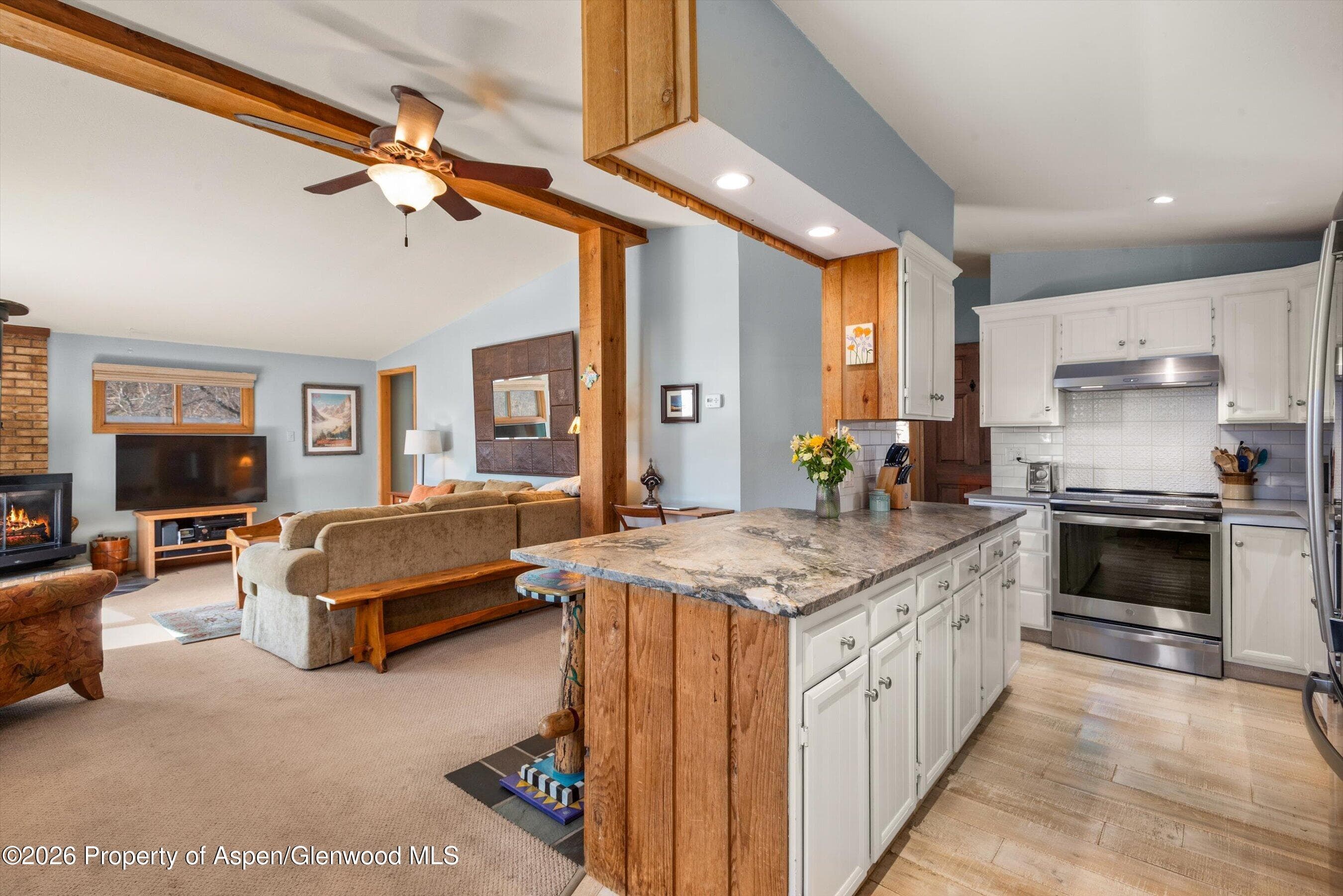 120 Tucker Lane, Basalt, CO 81621 - Photo 10