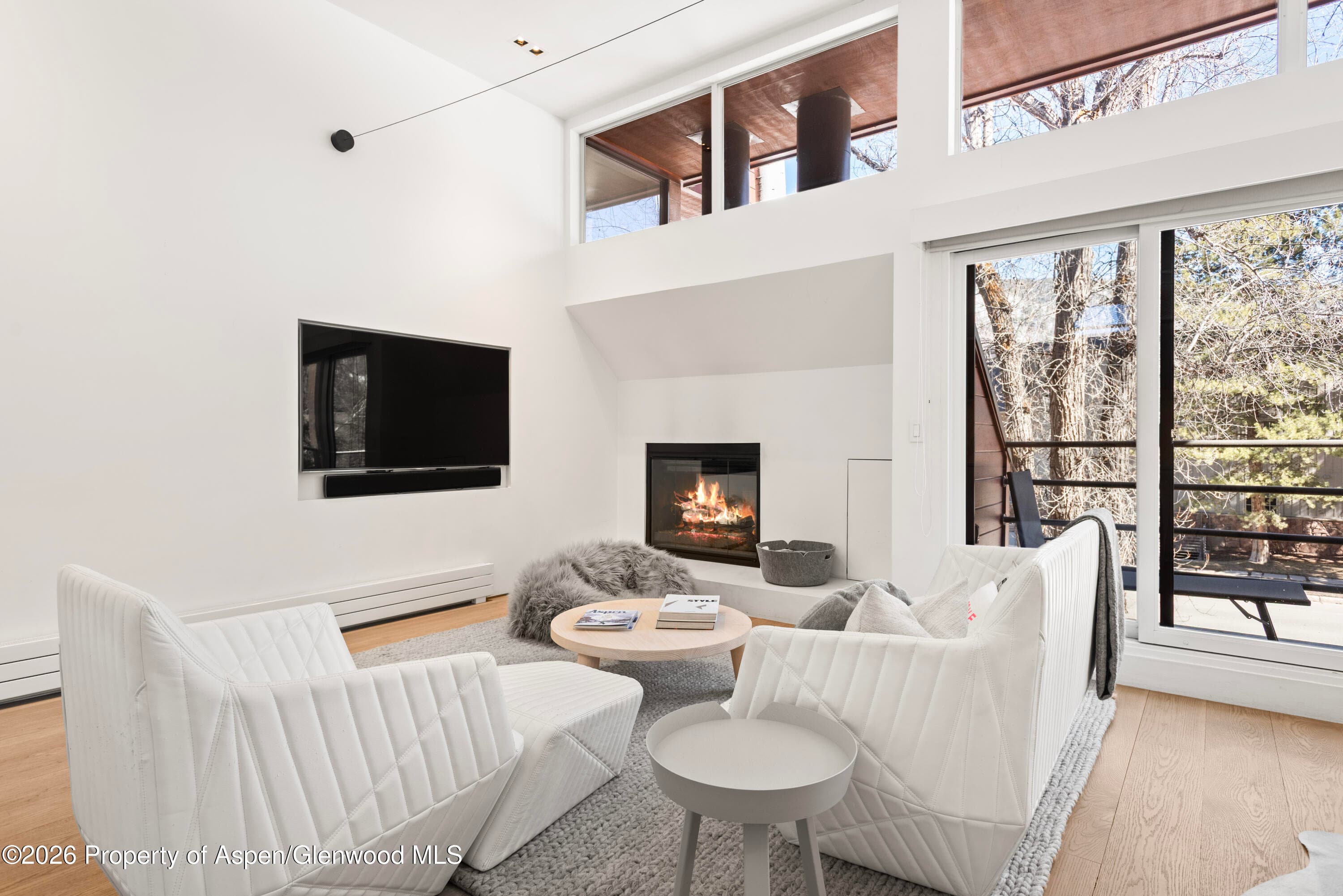 311 S Aspen Street 5, Aspen, CO 81611 - Photo 2