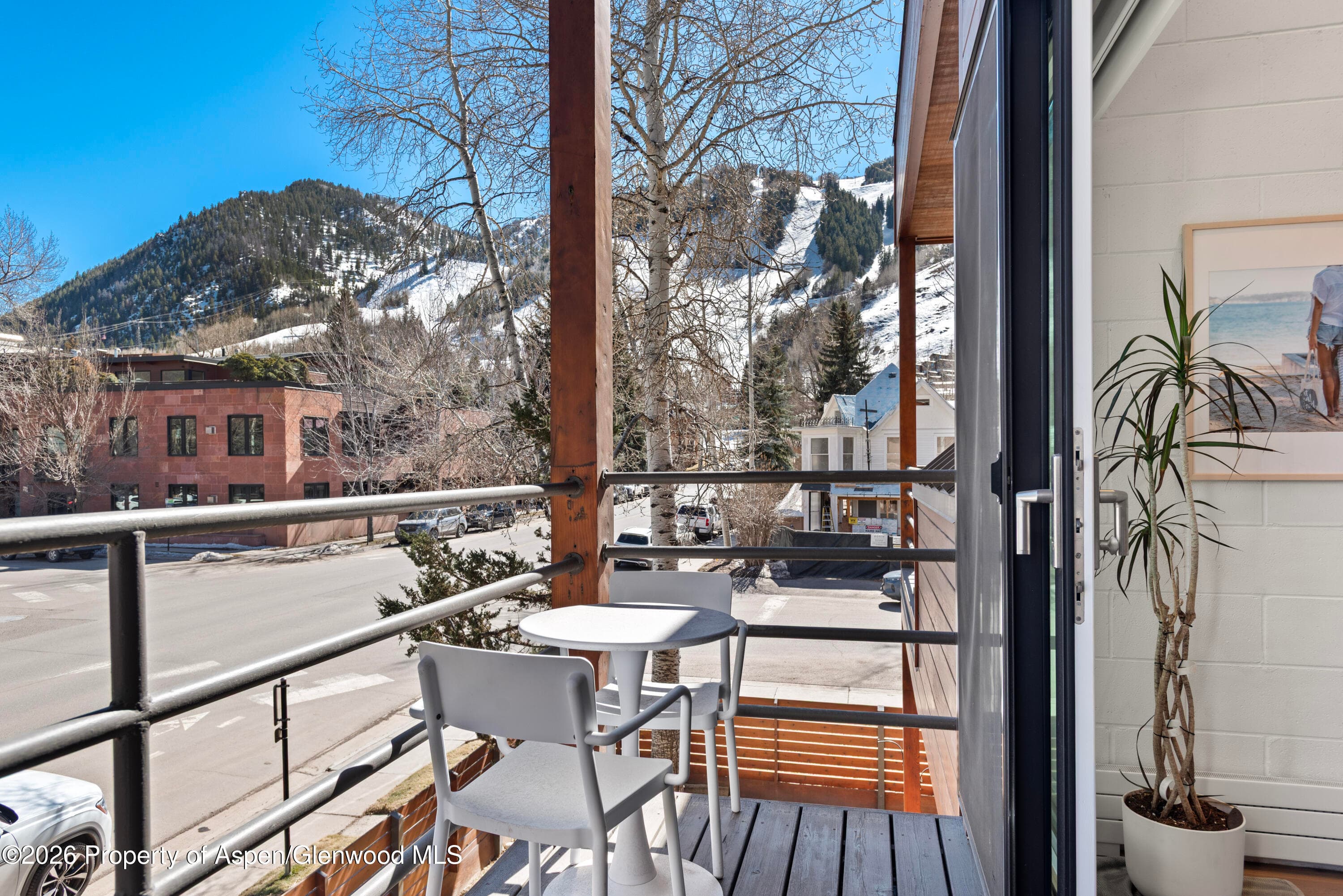 311 S Aspen Street 5, Aspen, CO 81611 - Photo 5