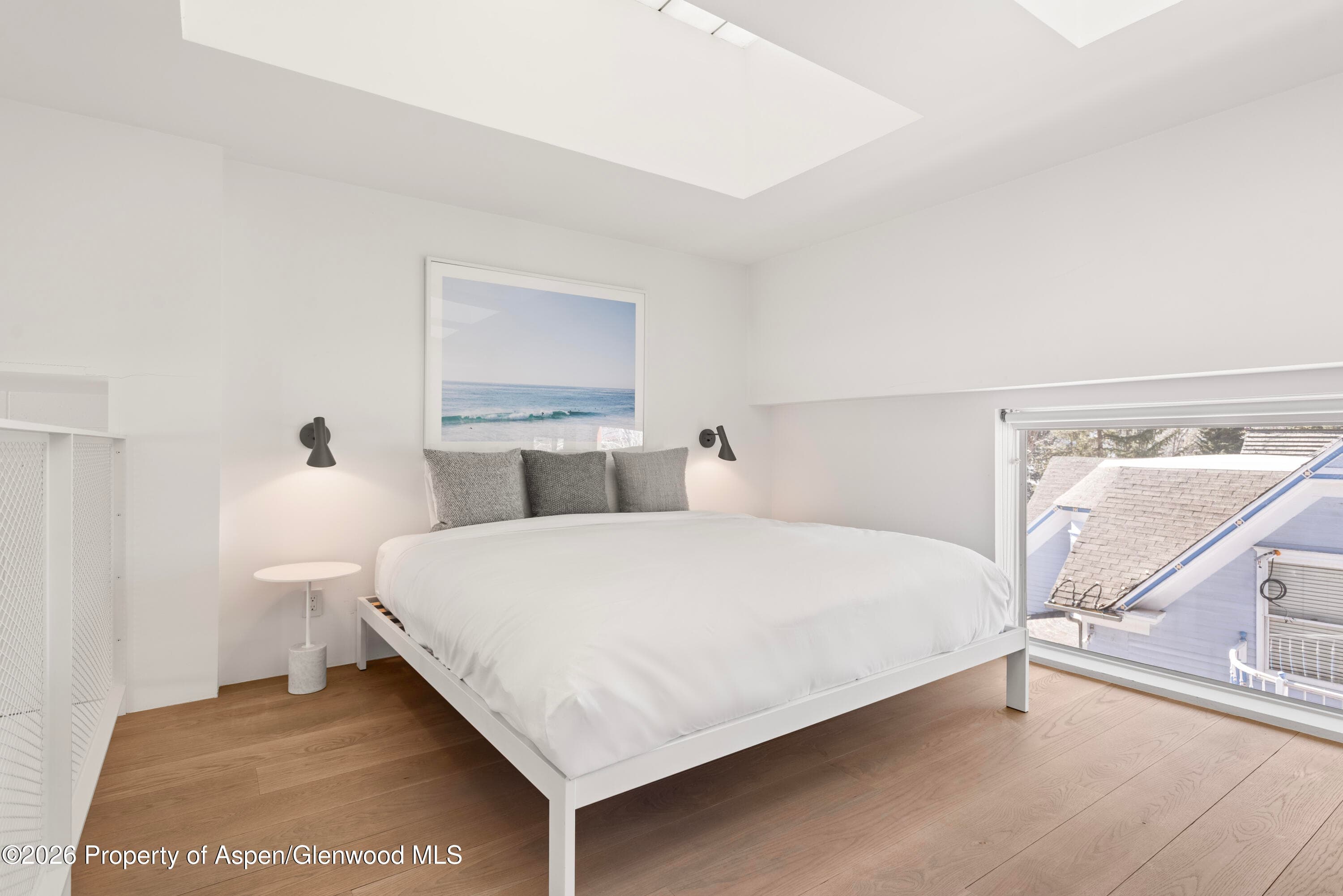 311 S Aspen Street 5, Aspen, CO 81611 - Photo 11