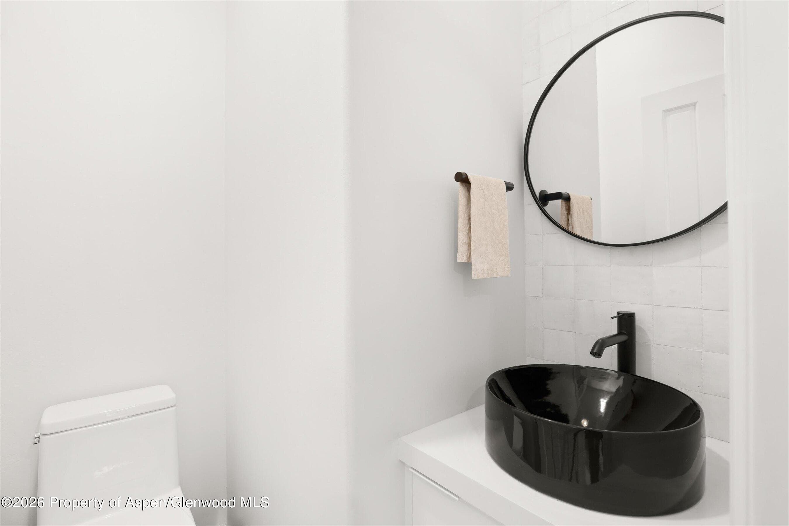 101 E Bleeker Street A, Aspen, CO 81611 - Photo 6