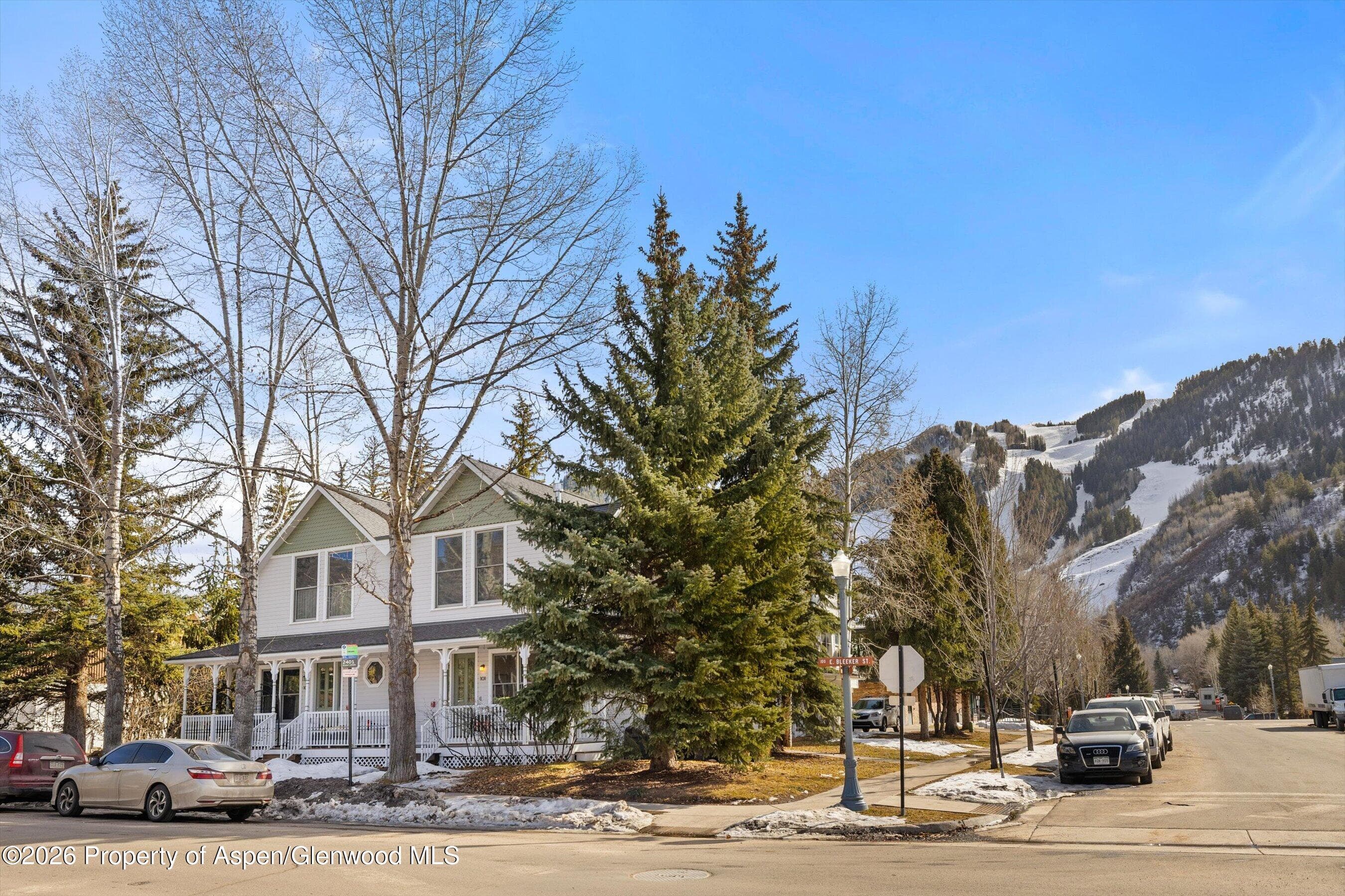 101 E Bleeker Street A, Aspen, CO 81611 - Photo 19
