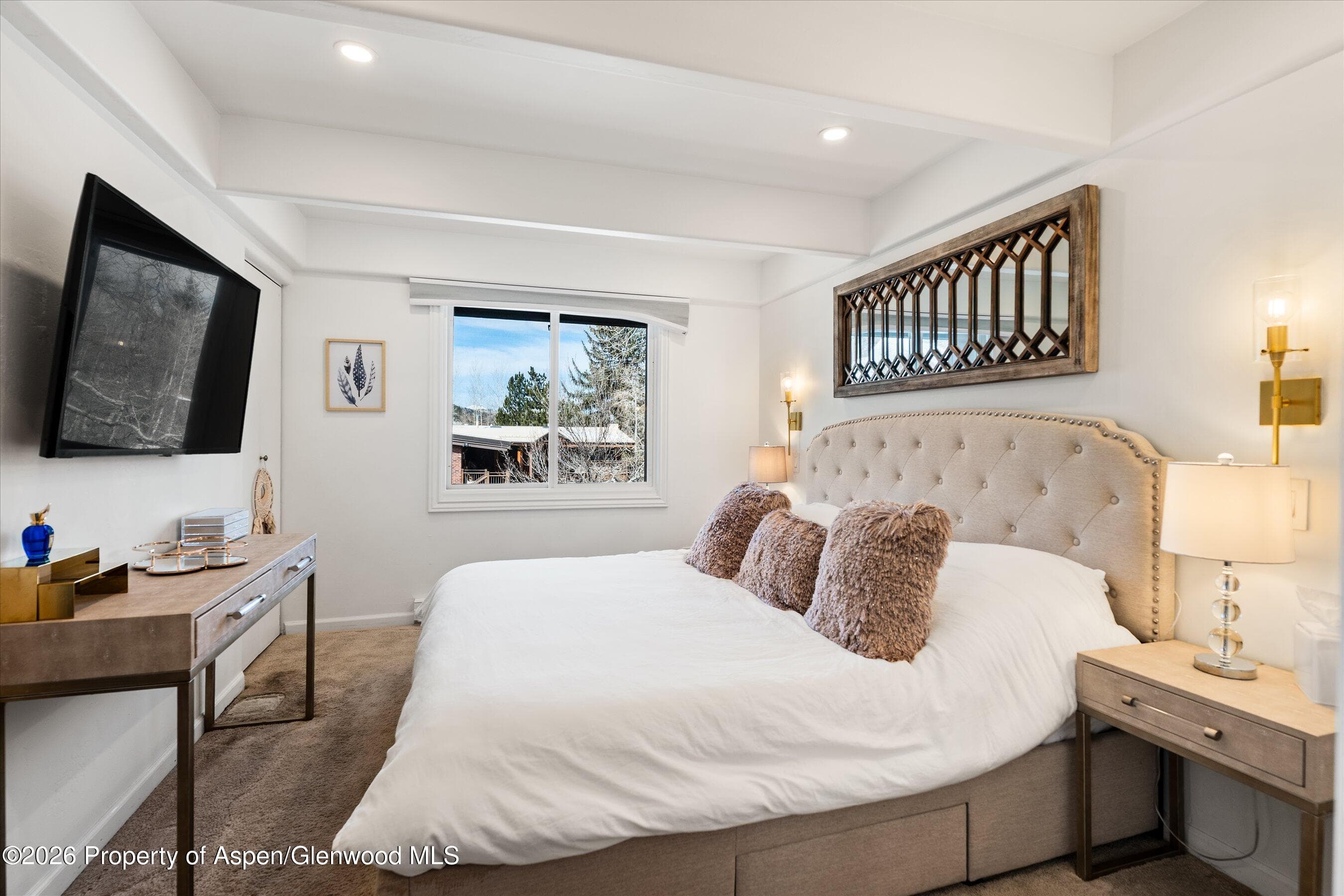 901 E Hyman Avenue 11, Aspen, CO 81611 - Photo 7