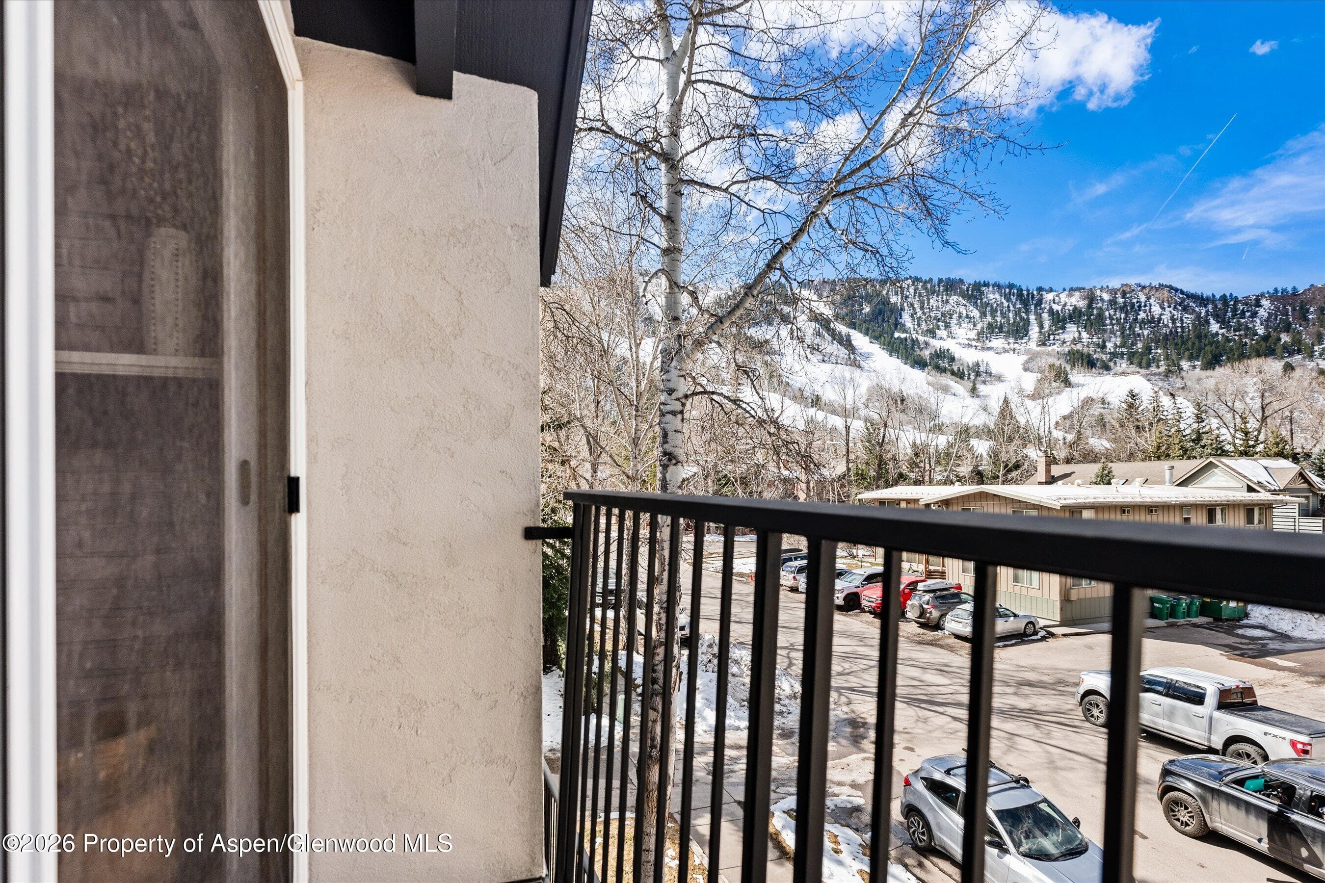901 E Hyman Avenue 11, Aspen, CO 81611 - Photo 11