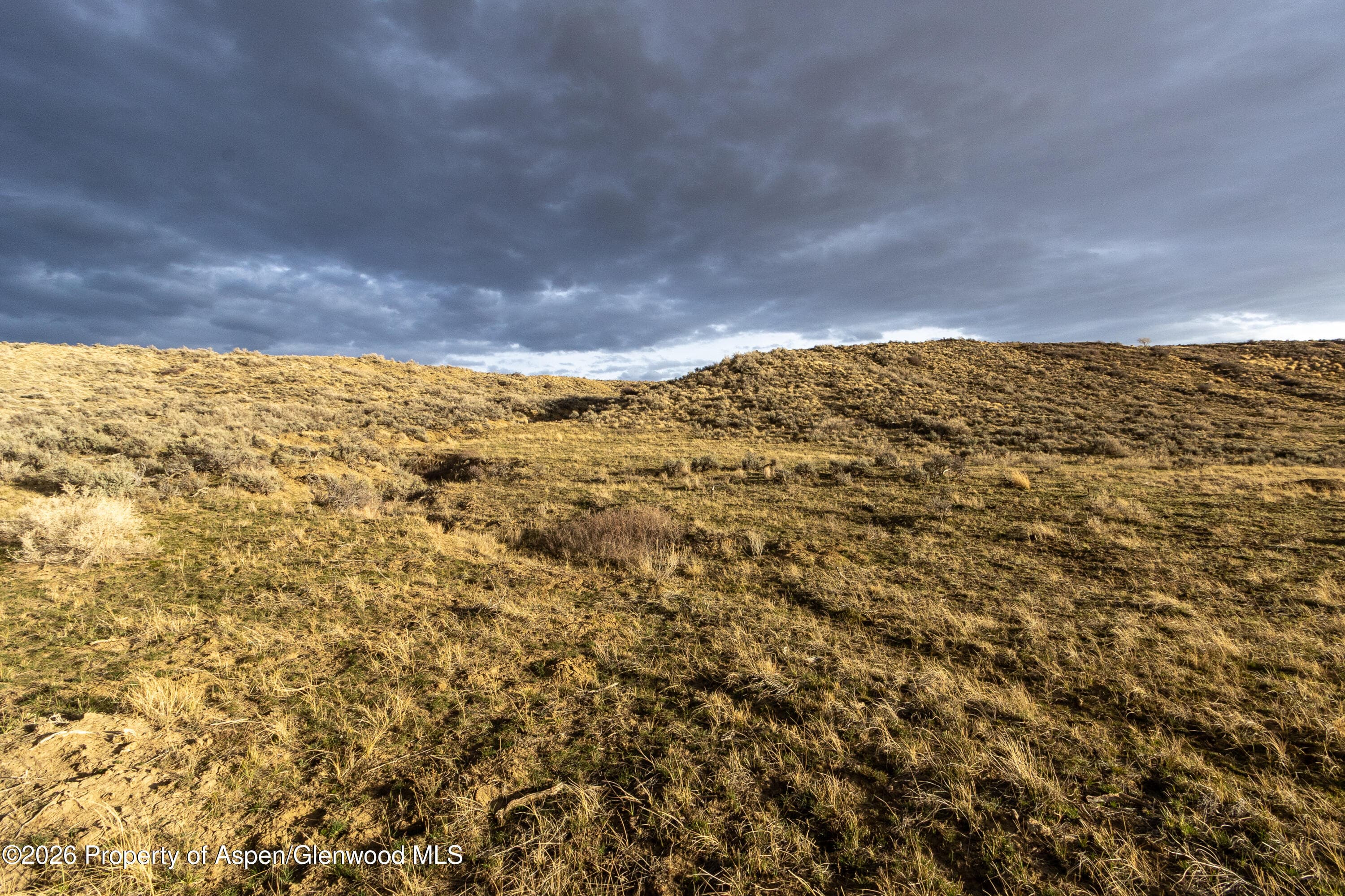 Property - Photo 21