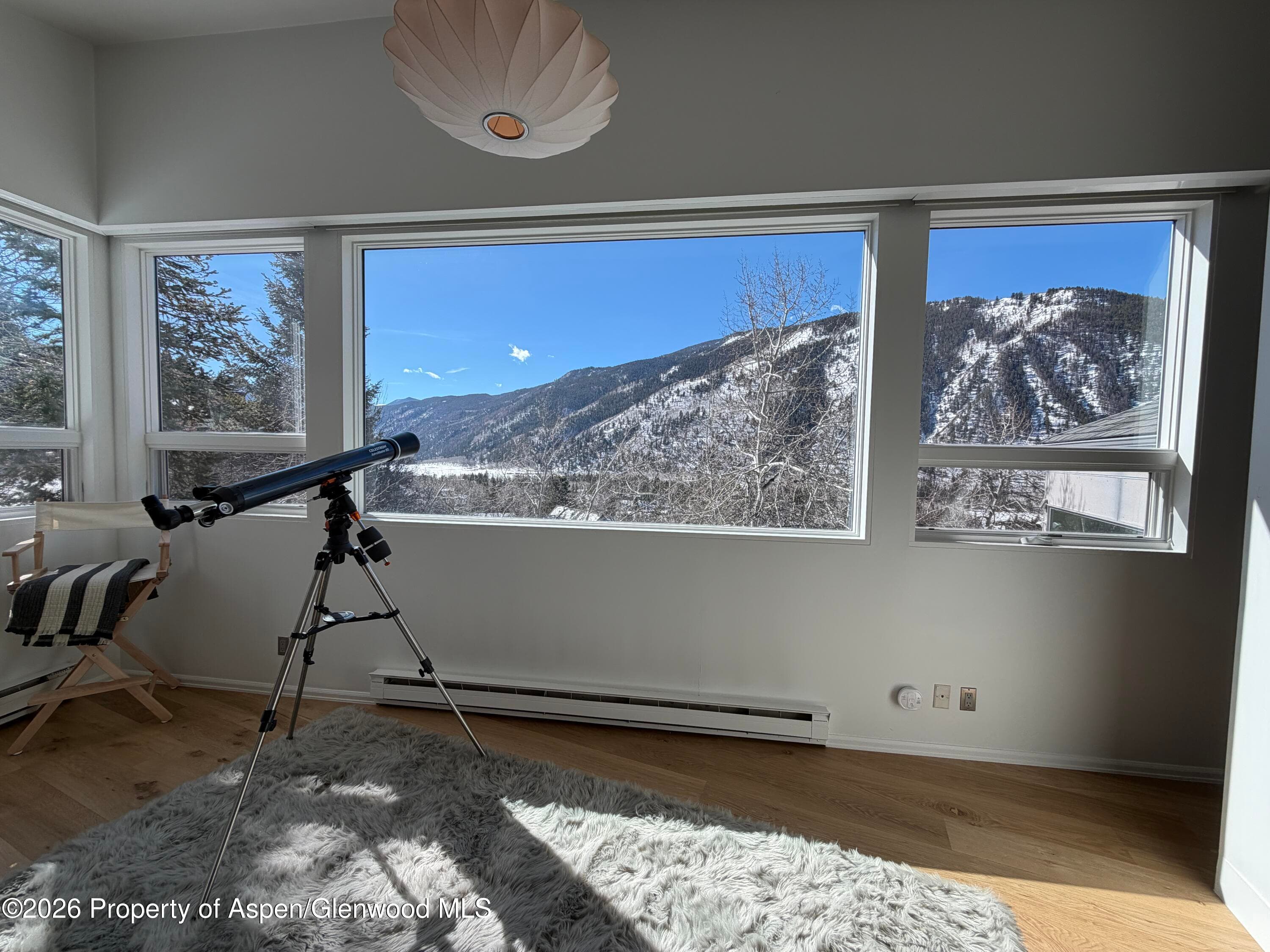 602 Mountain Laurel Drive, Aspen, CO 81611 - Photo 2