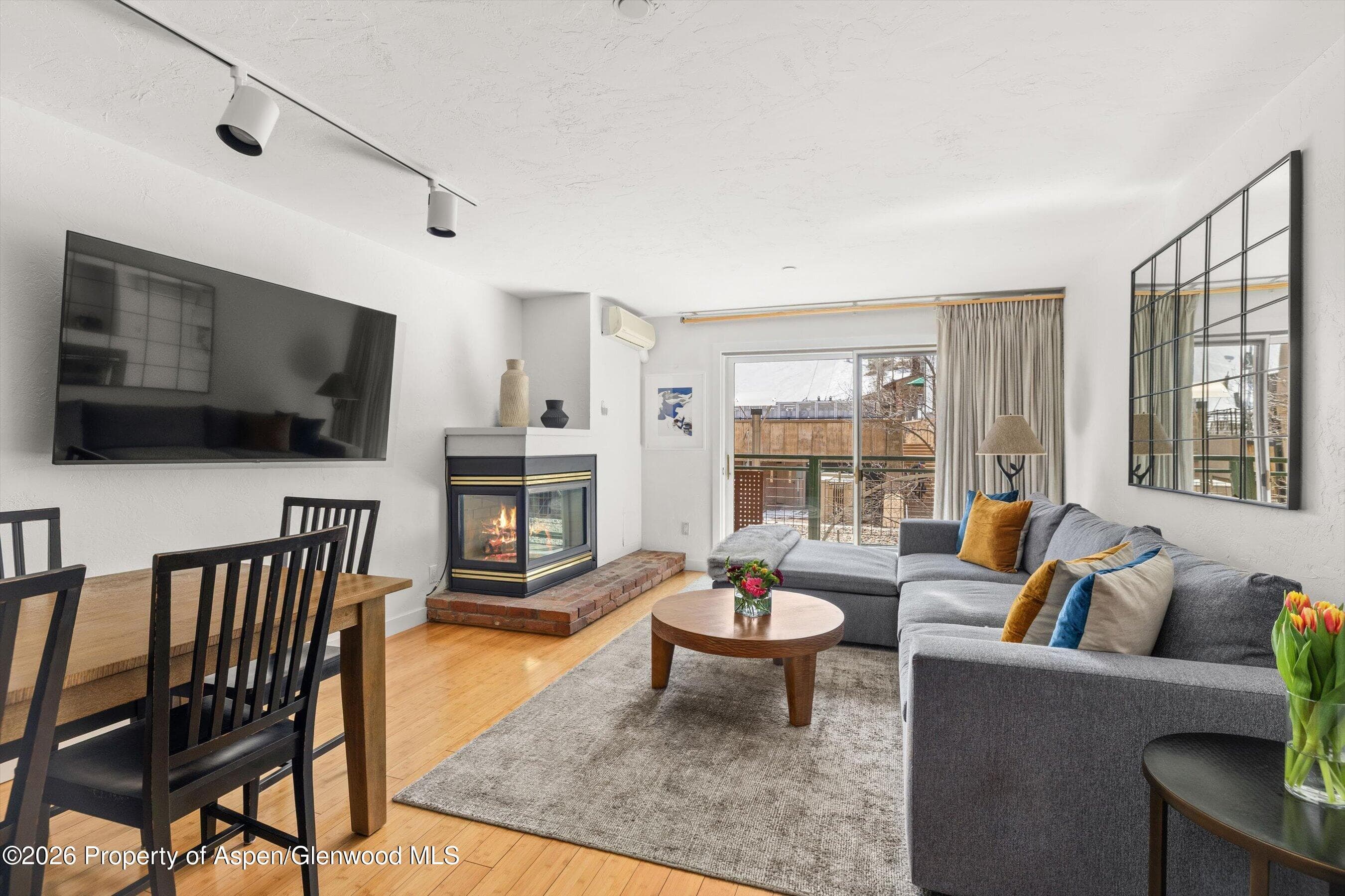 555 E Durant Avenue 2c, Aspen, CO 81611 - Photo 2