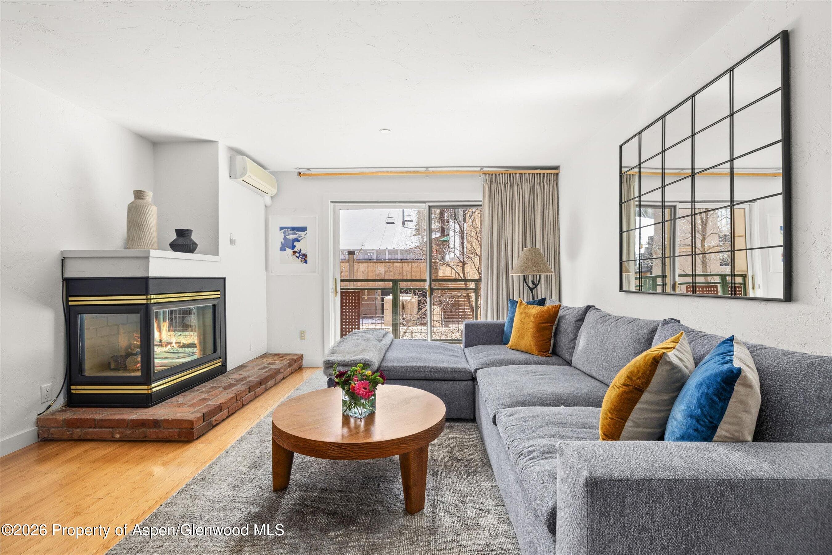 555 E Durant Avenue 2c, Aspen, CO 81611 - Photo 3